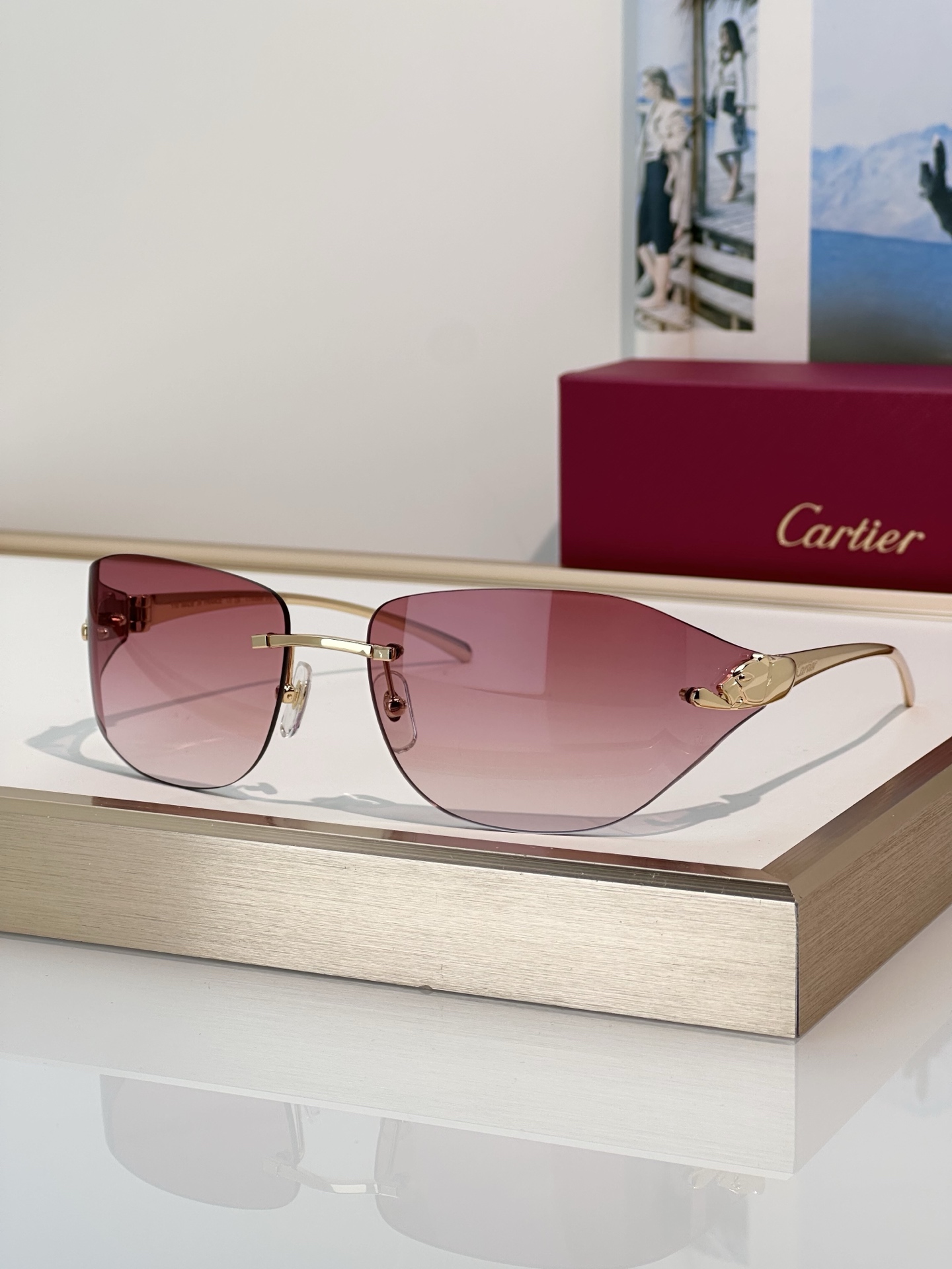 Designer Sunglasses CT0068S