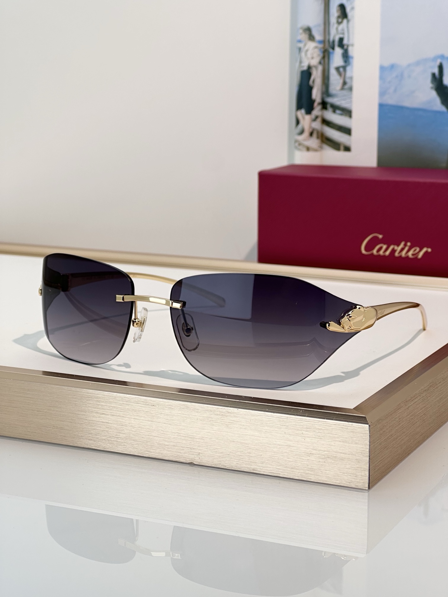 Designer Sunglasses CT0068S