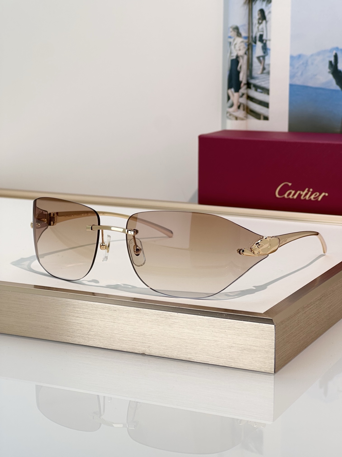 Designer Sunglasses CT0068S
