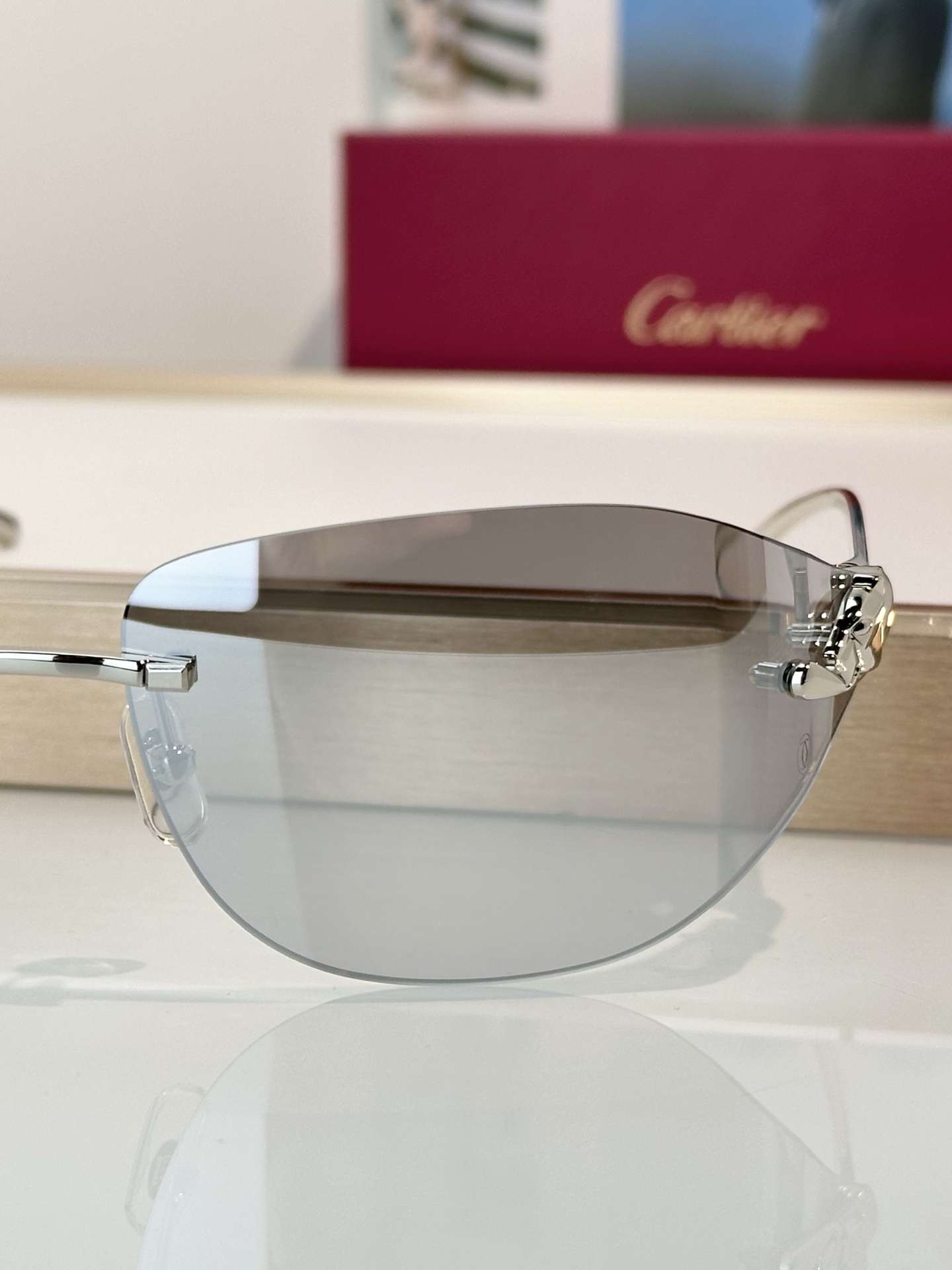 Designer Sunglasses CT0068S