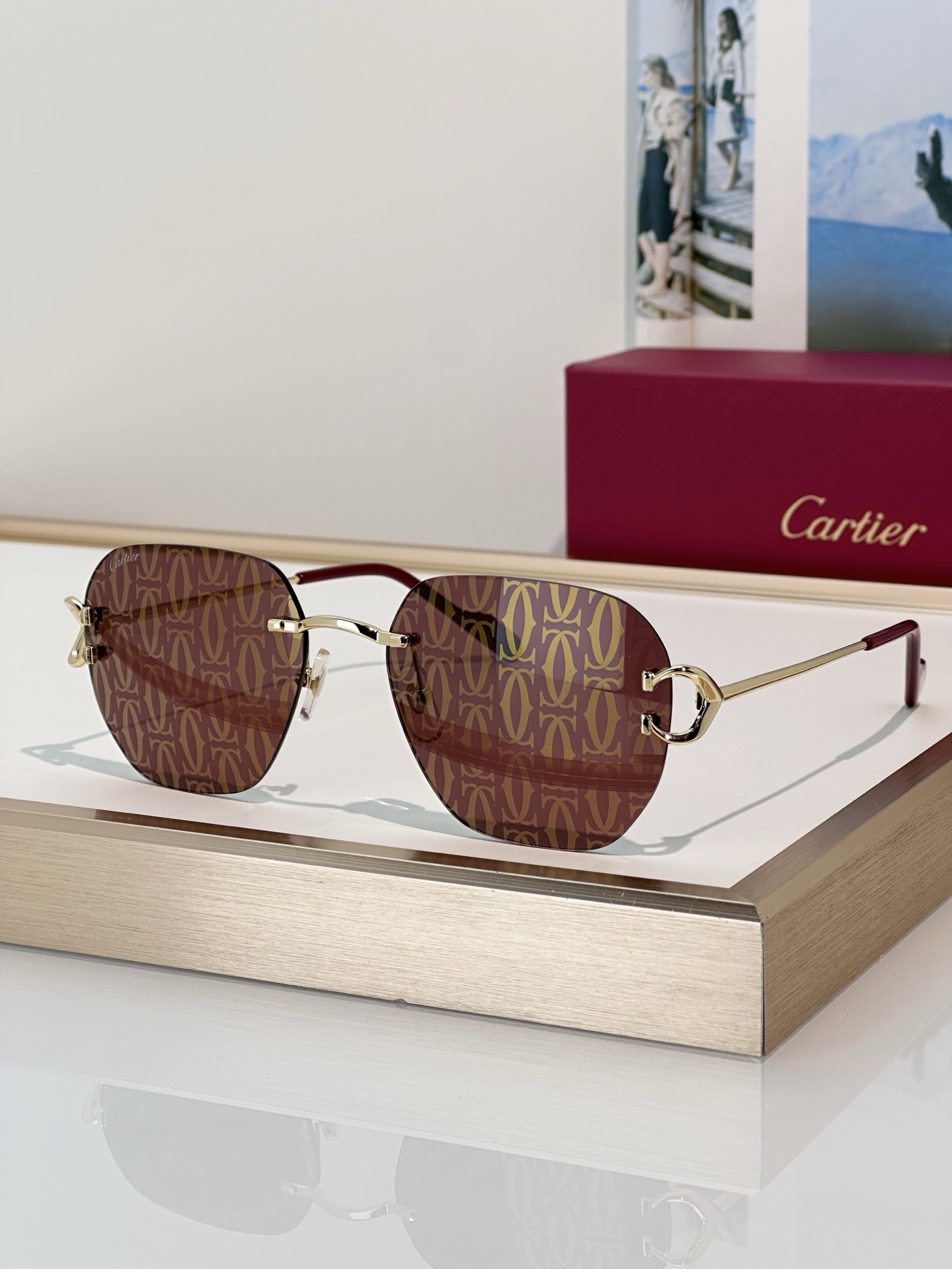 Designer Sunglasses CT0394S