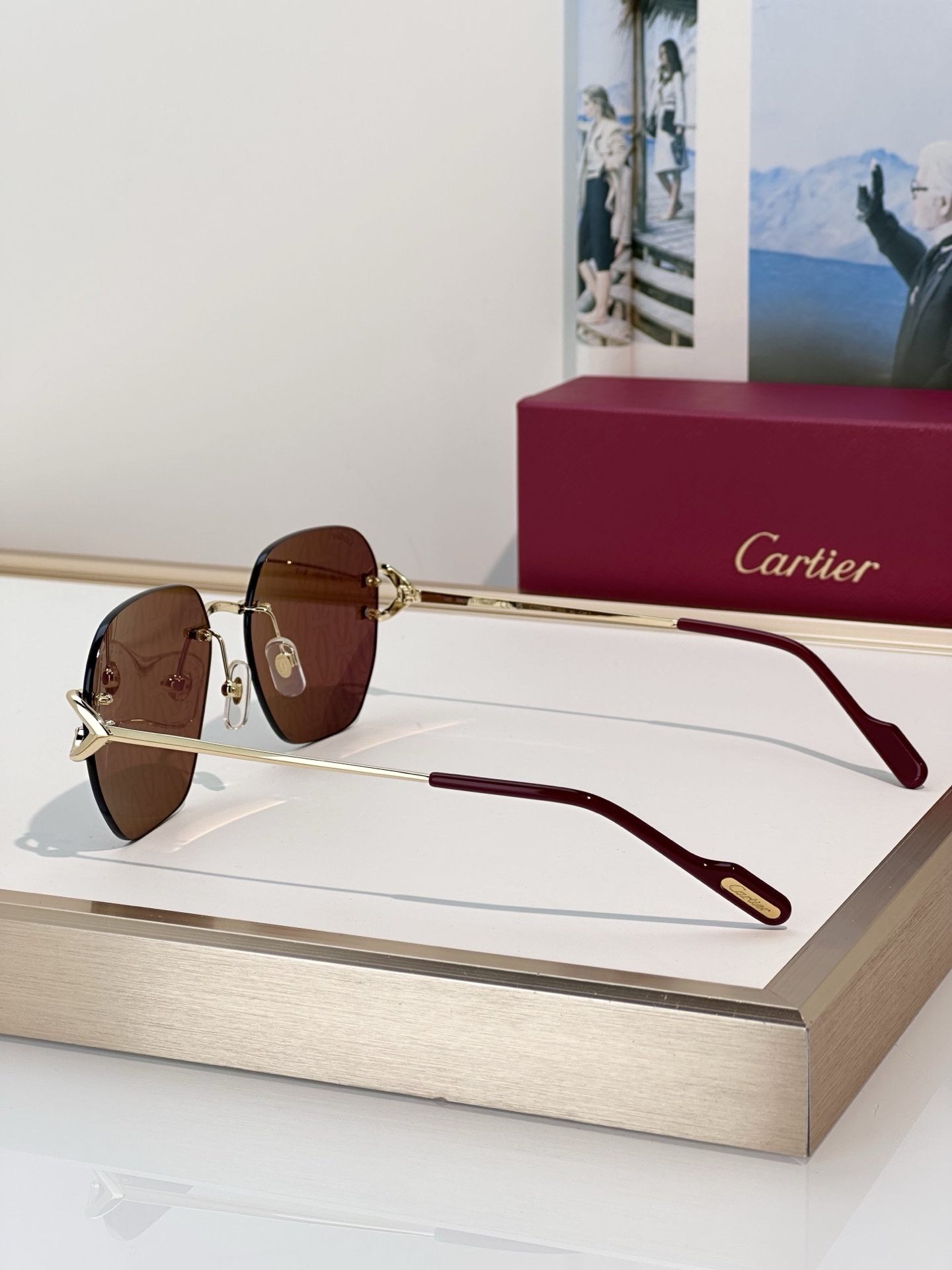 Designer Sunglasses CT0394S