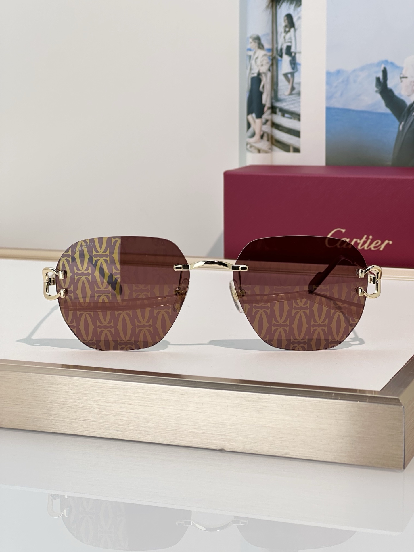 Designer Sunglasses CT0394S