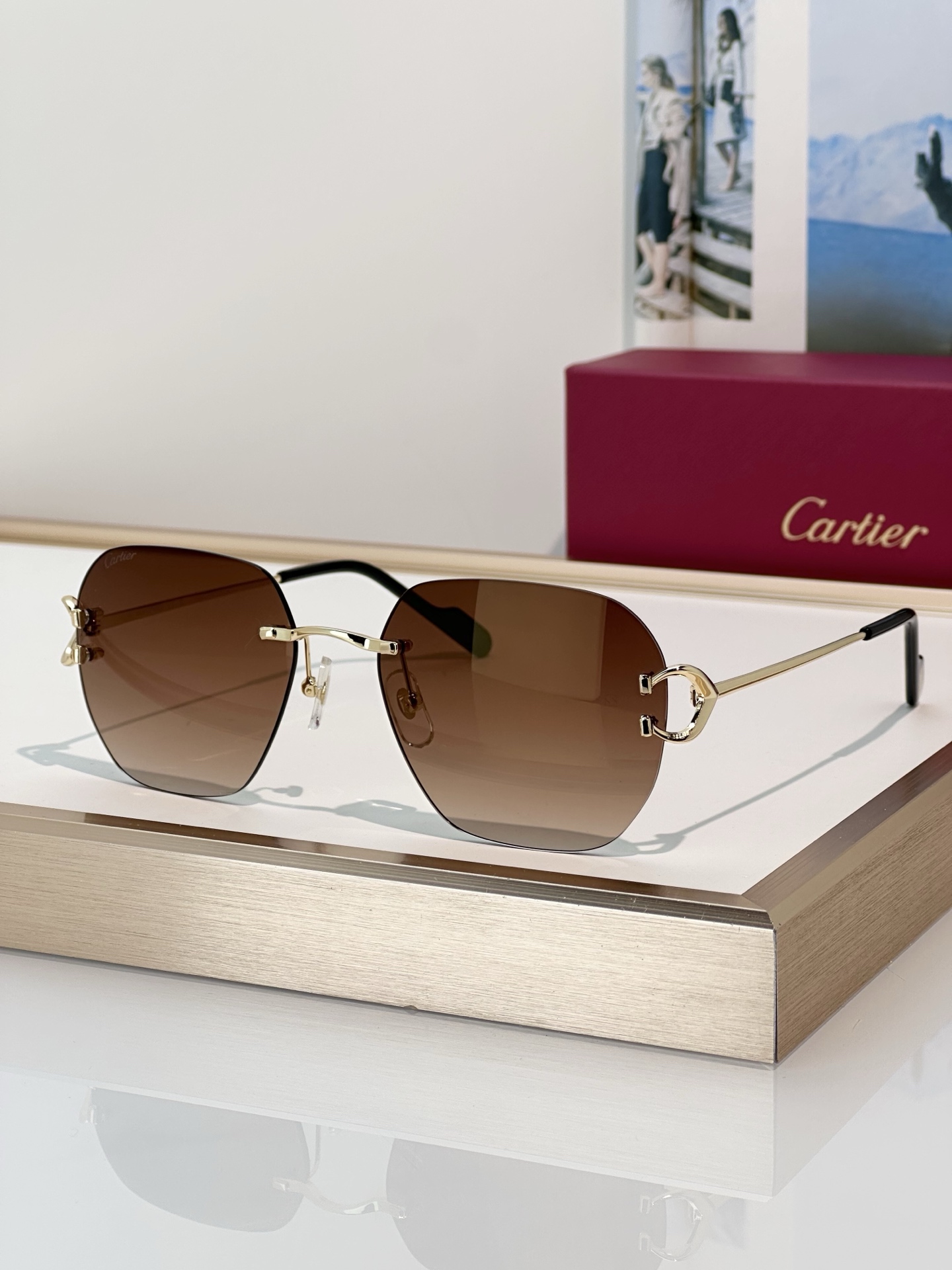 Designer Sunglasses CT0394S