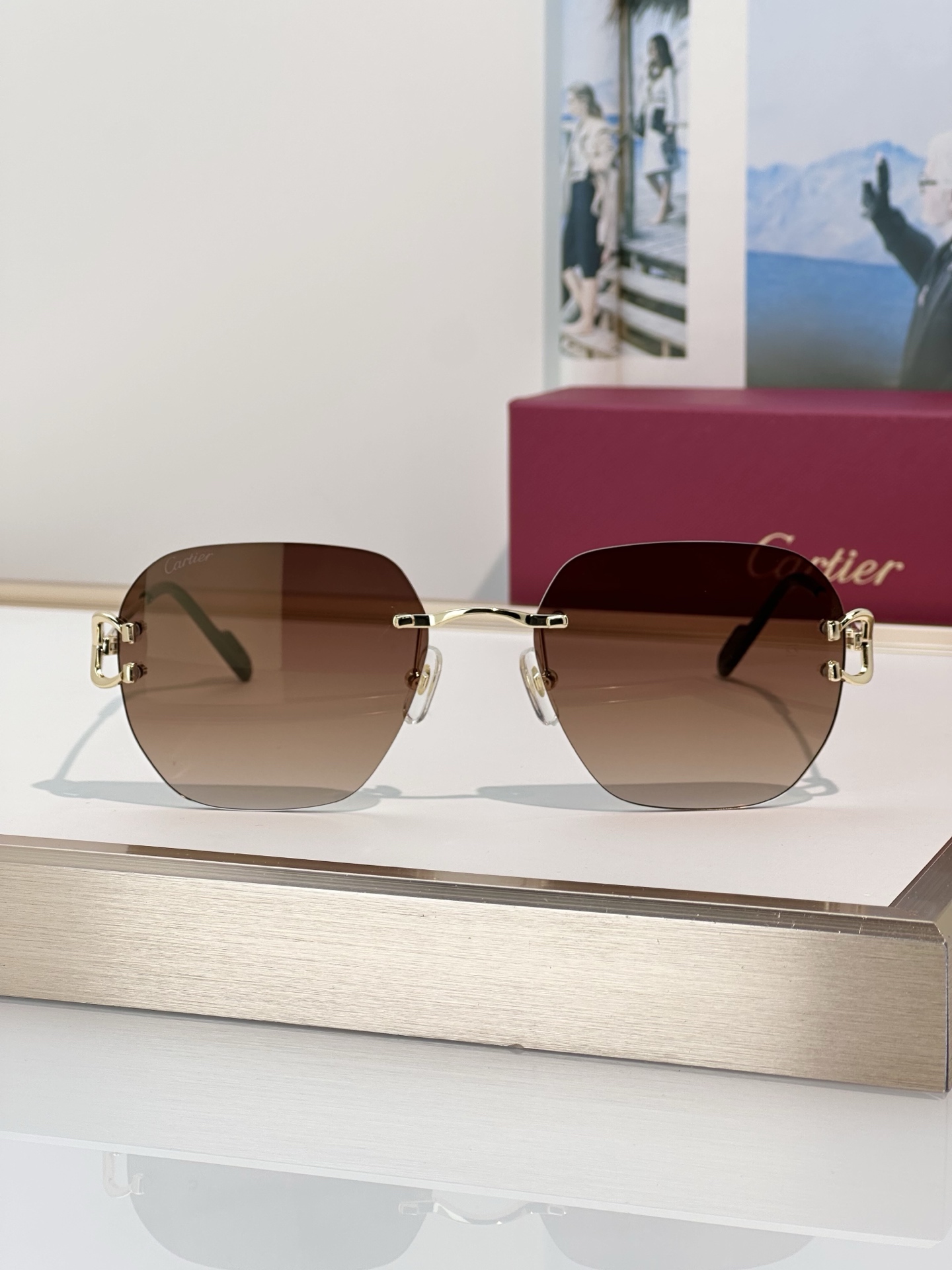 Designer Sunglasses CT0394S
