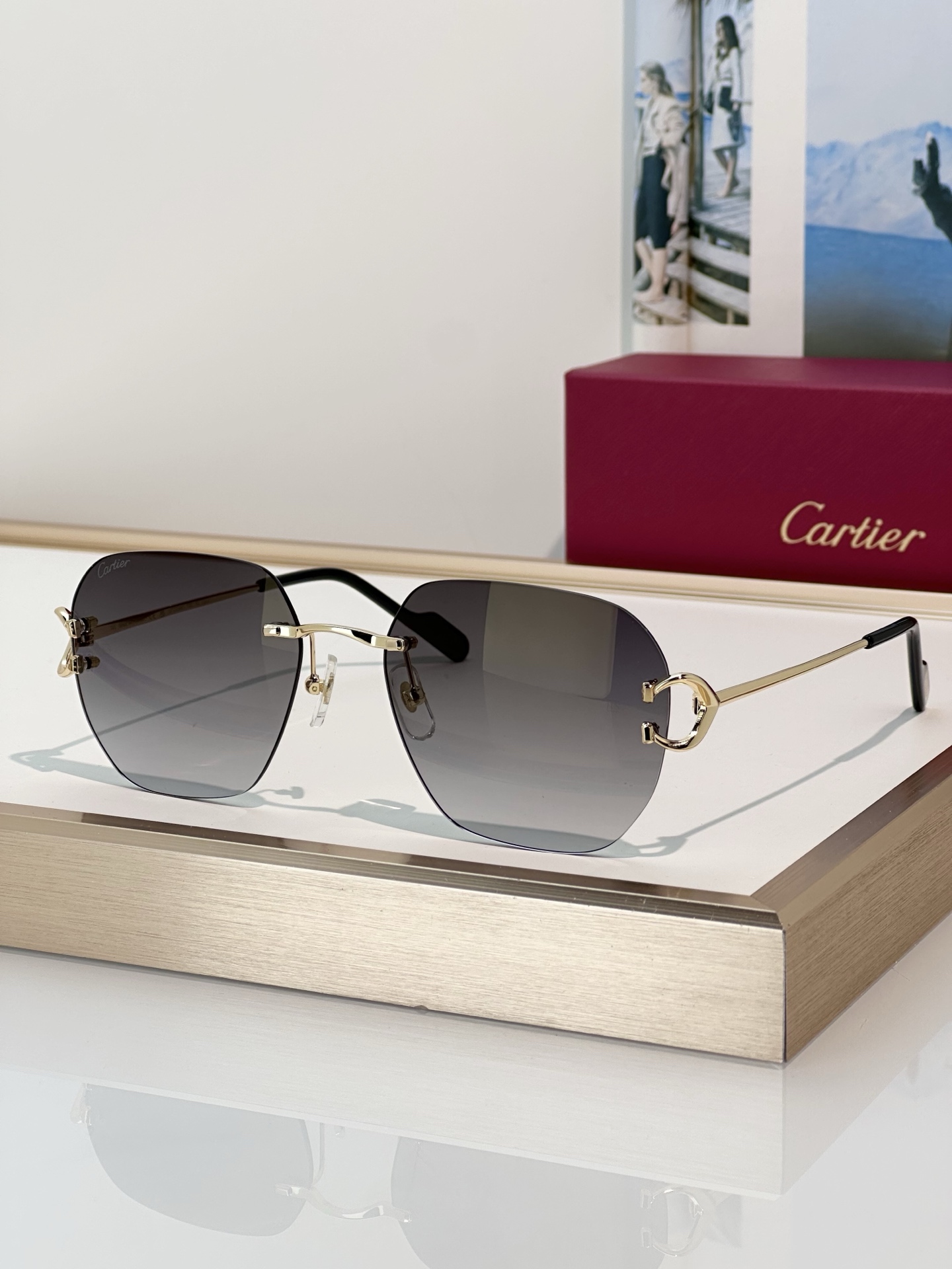 Designer Sunglasses CT0394S