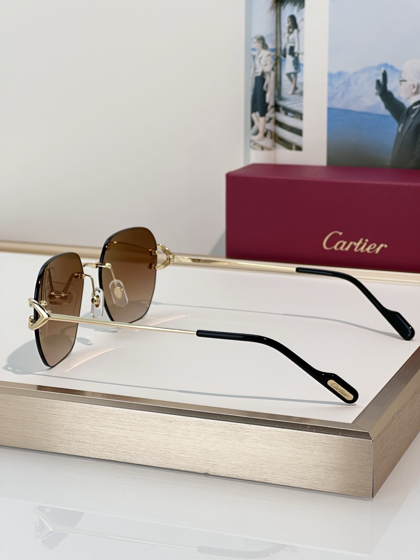 Designer Sunglasses CT0394S