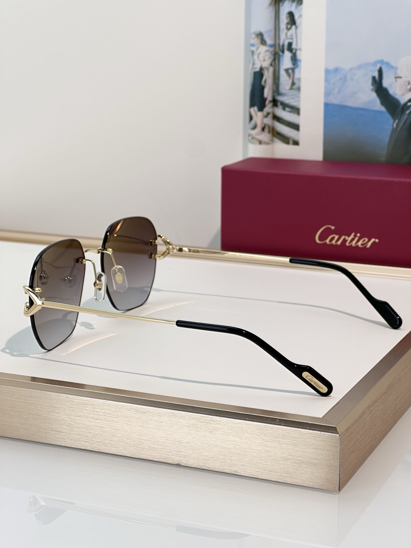 Designer Sunglasses CT0394S