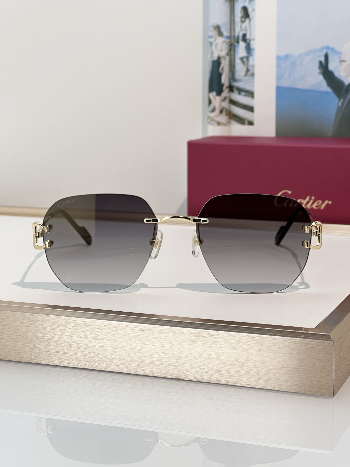 Designer Sunglasses CT0394S