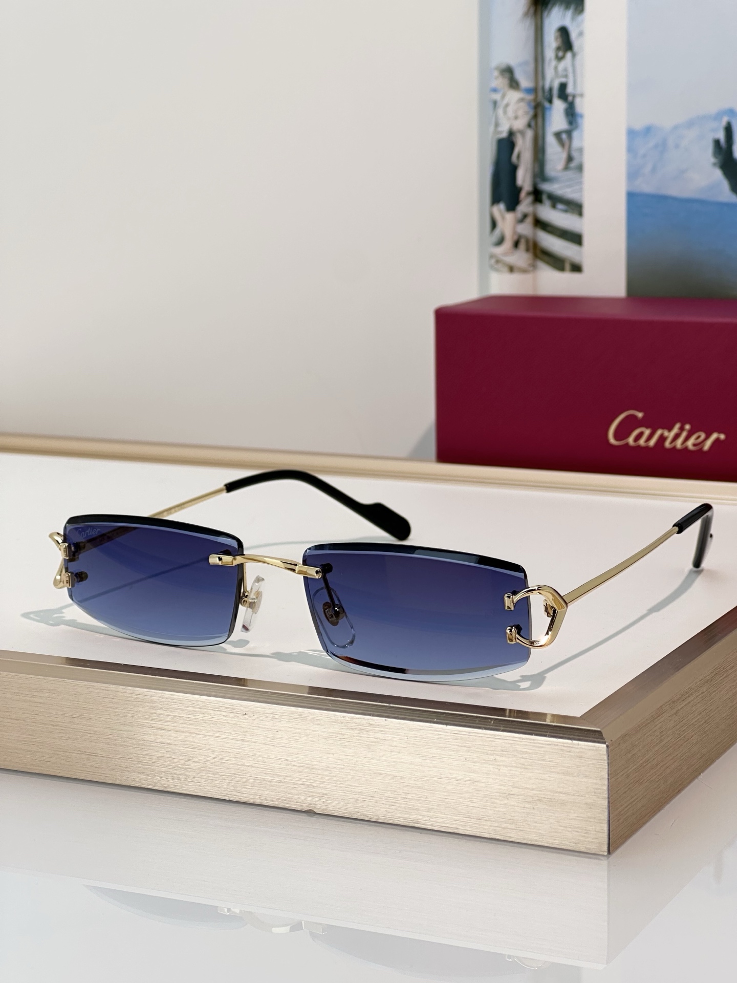 Designer Sunglasses CT0465S