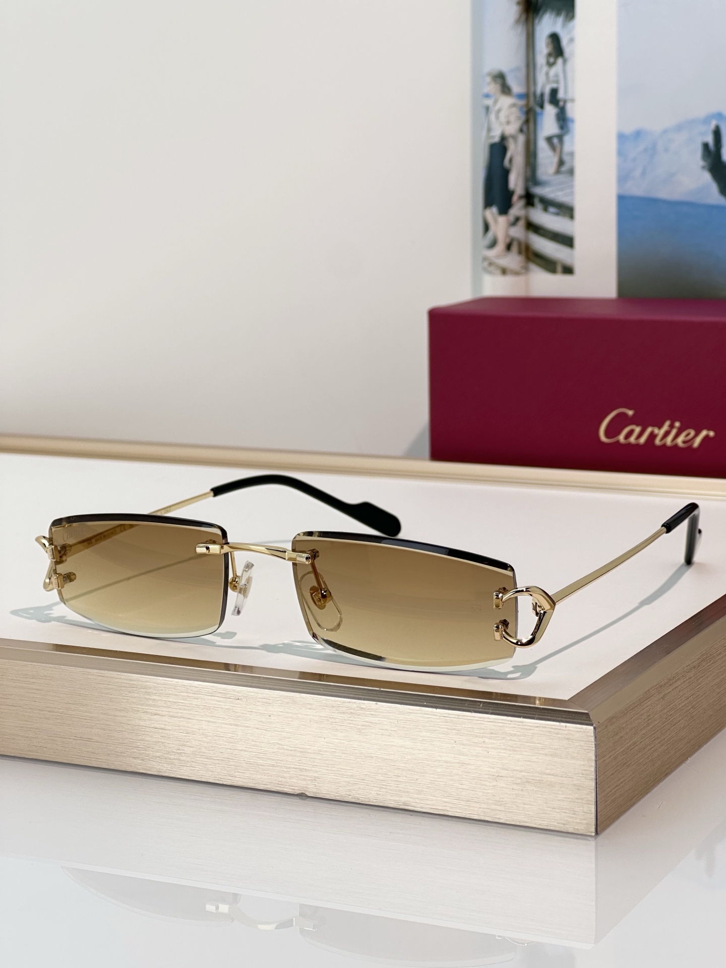 Designer Sunglasses CT0465S
