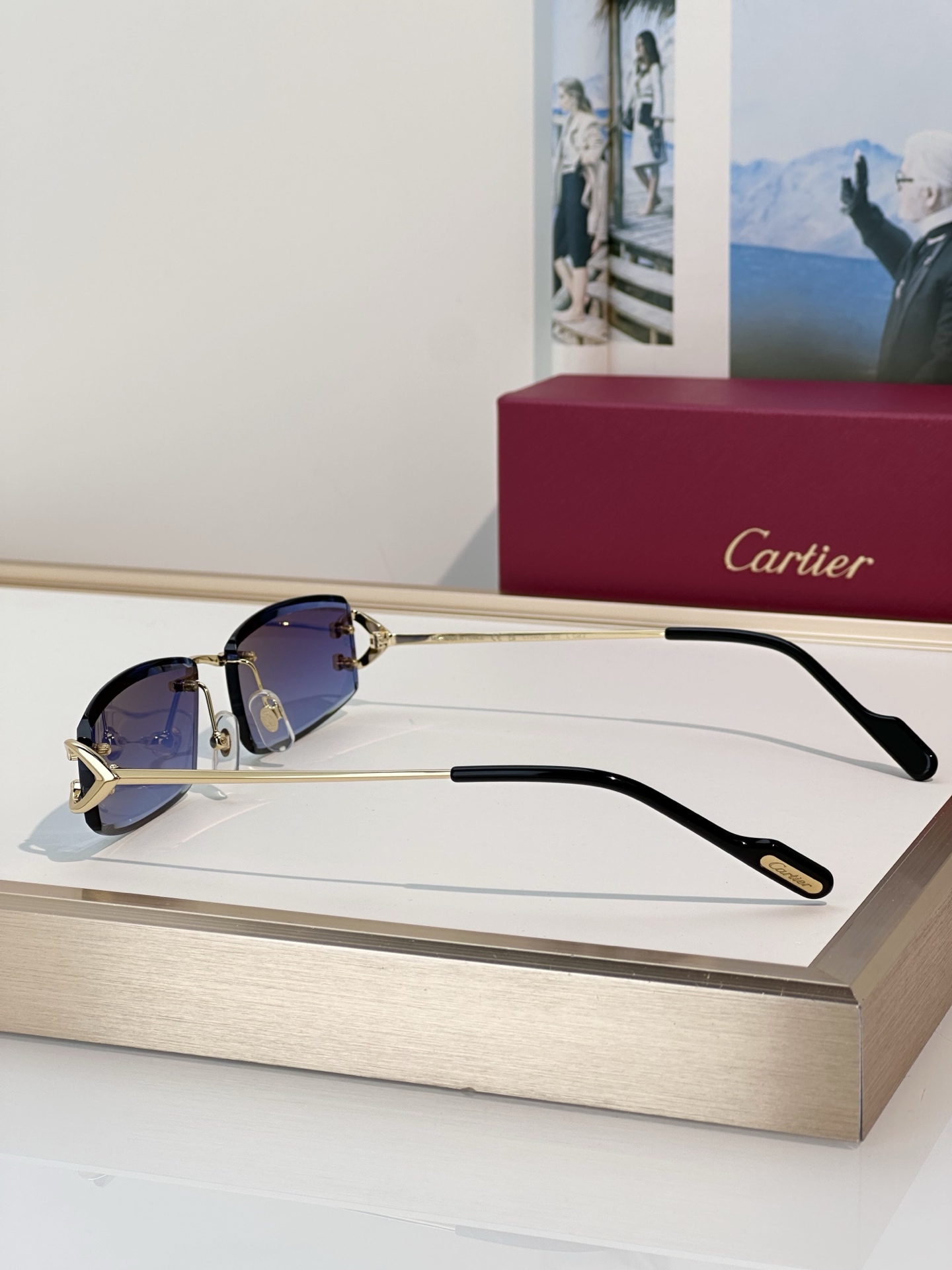 Designer Sunglasses CT0465S