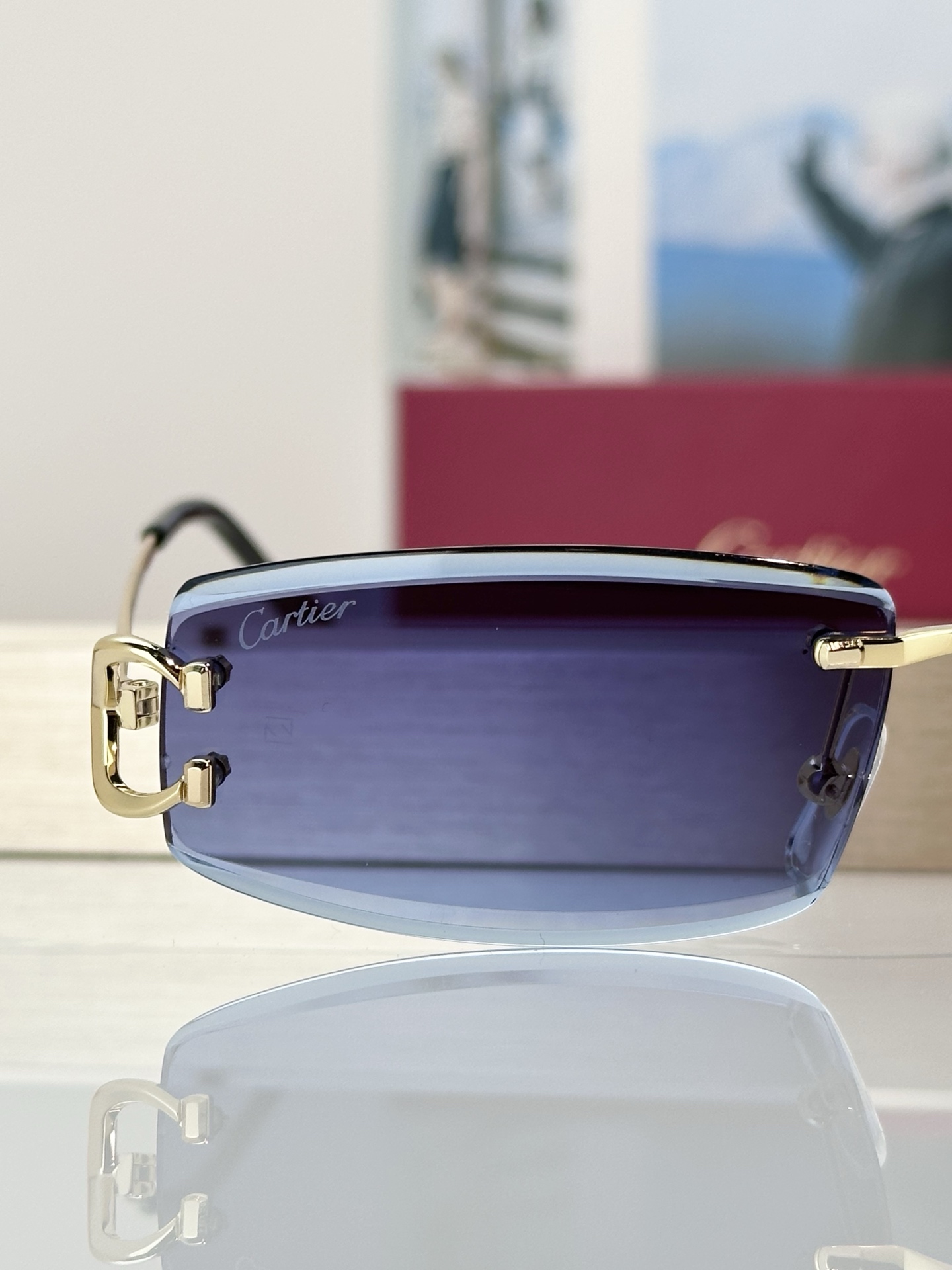 Designer Sunglasses CT0465S