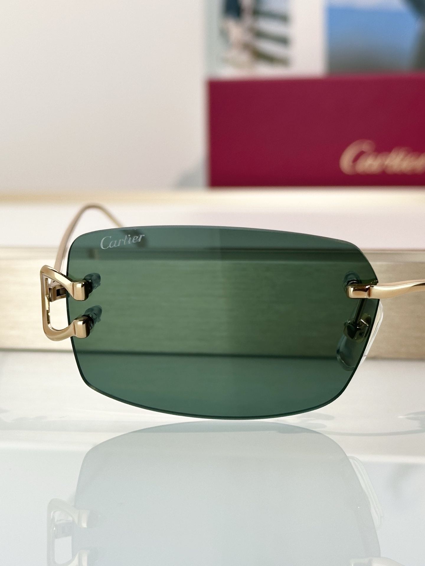 Designer Sunglasses CT0605S