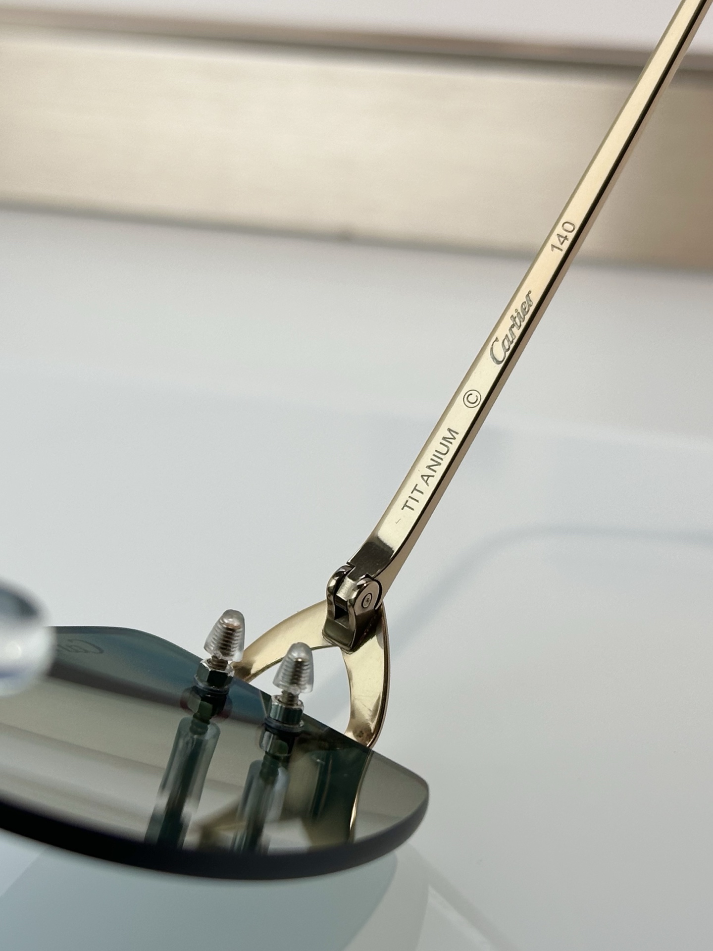 Designer Sunglasses CT0605S