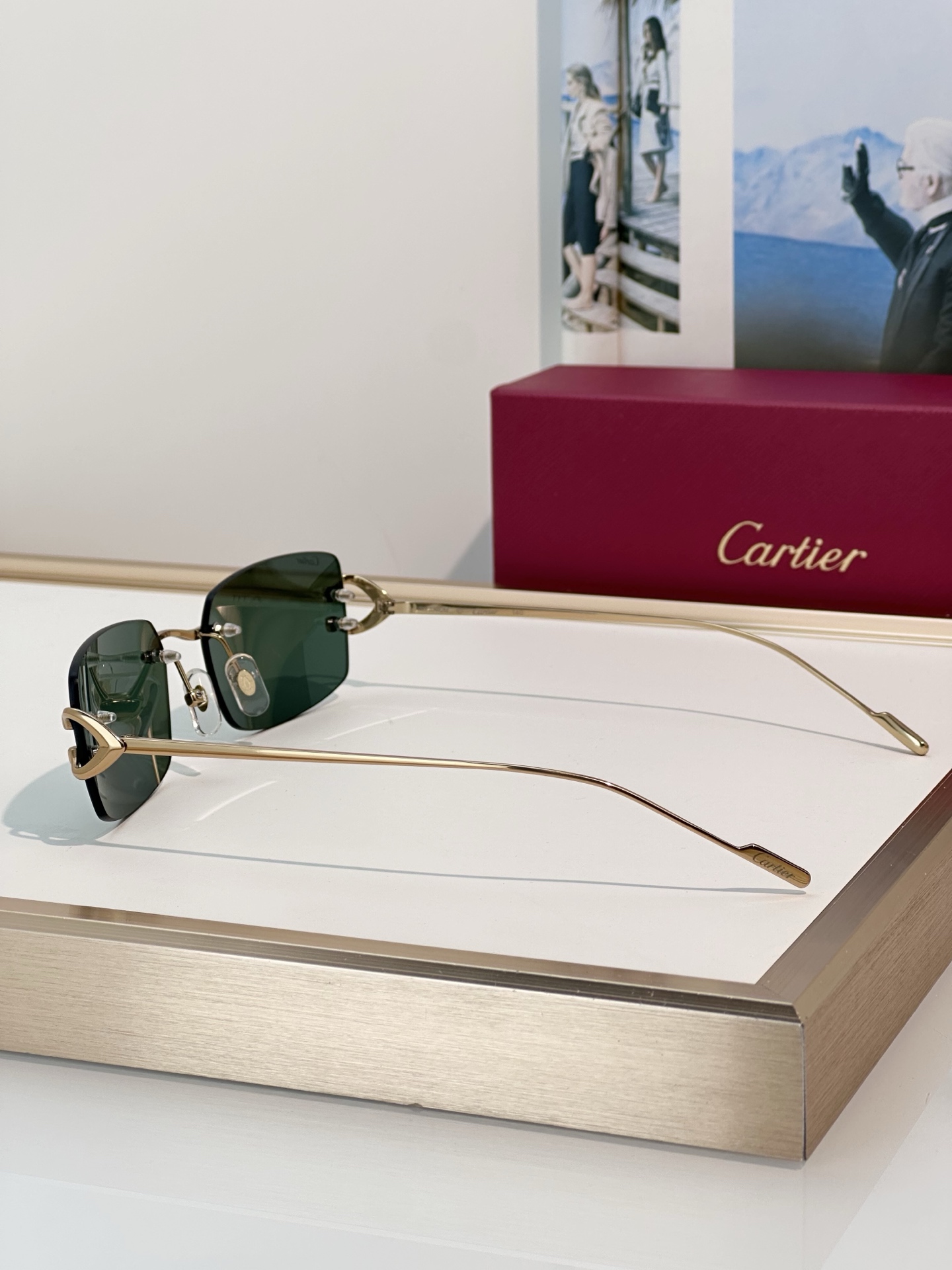 Designer Sunglasses CT0605S
