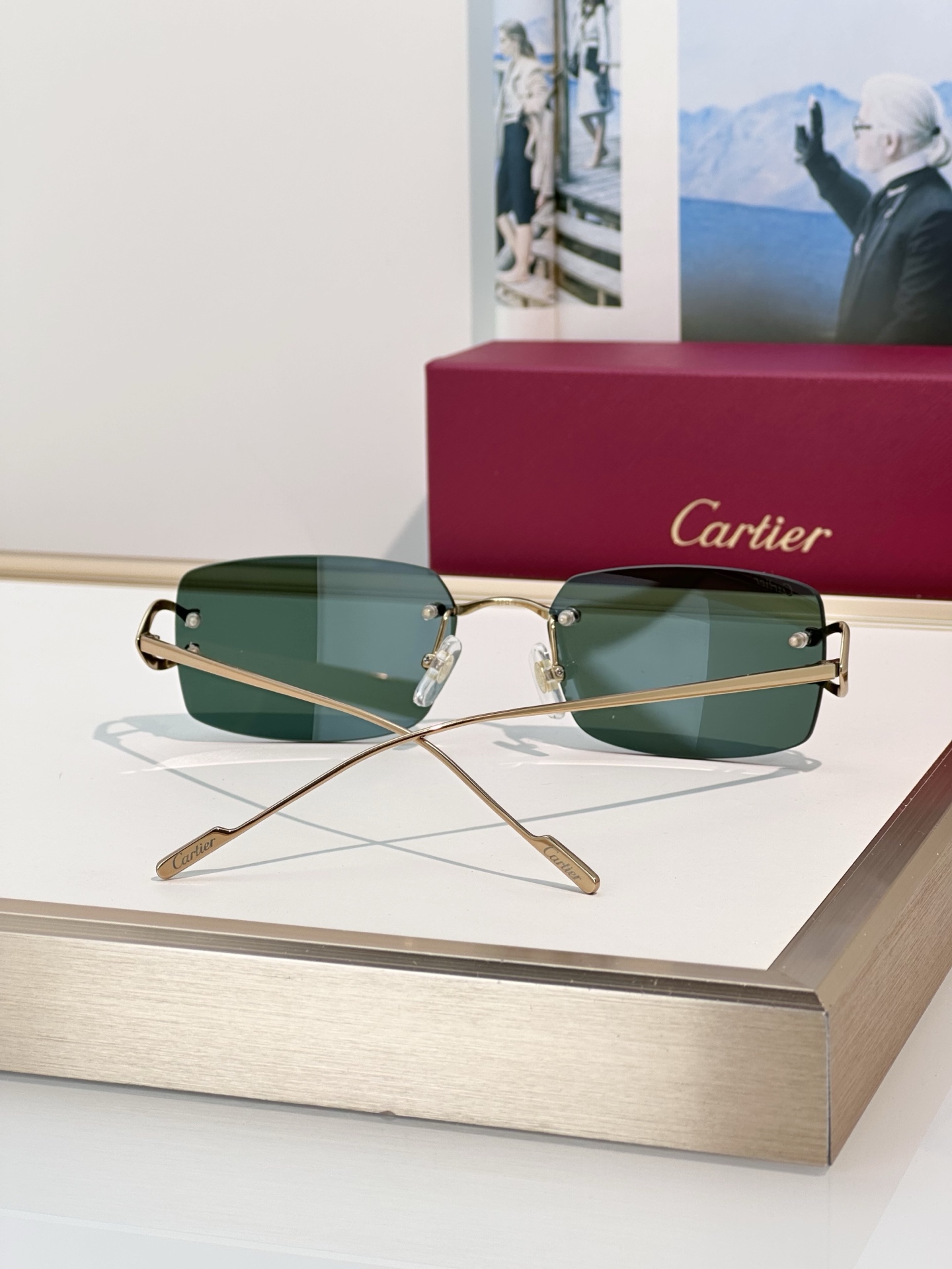 Designer Sunglasses CT0605S