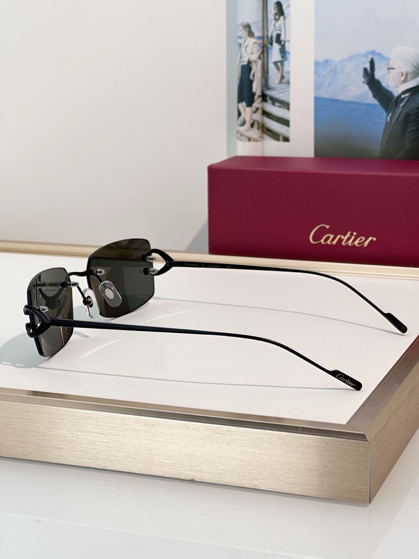 Designer Sunglasses CT0605S