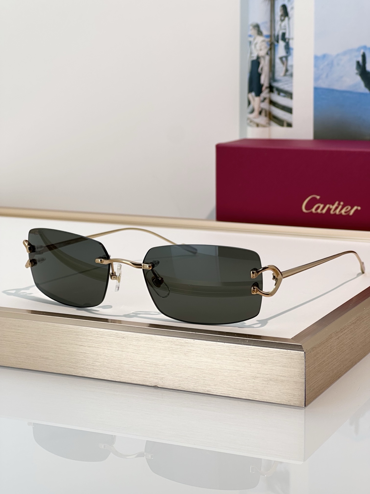 Designer Sunglasses CT0605S