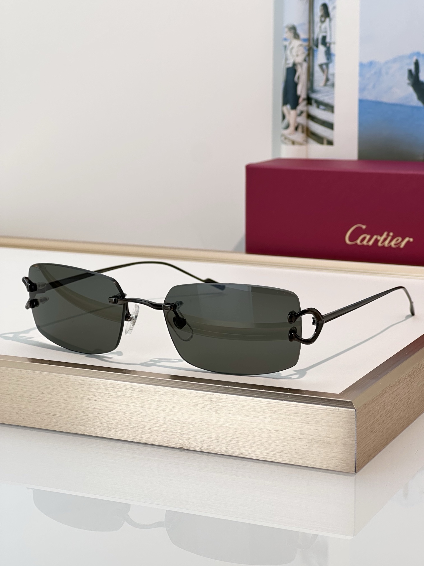 Designer Sunglasses CT0605S