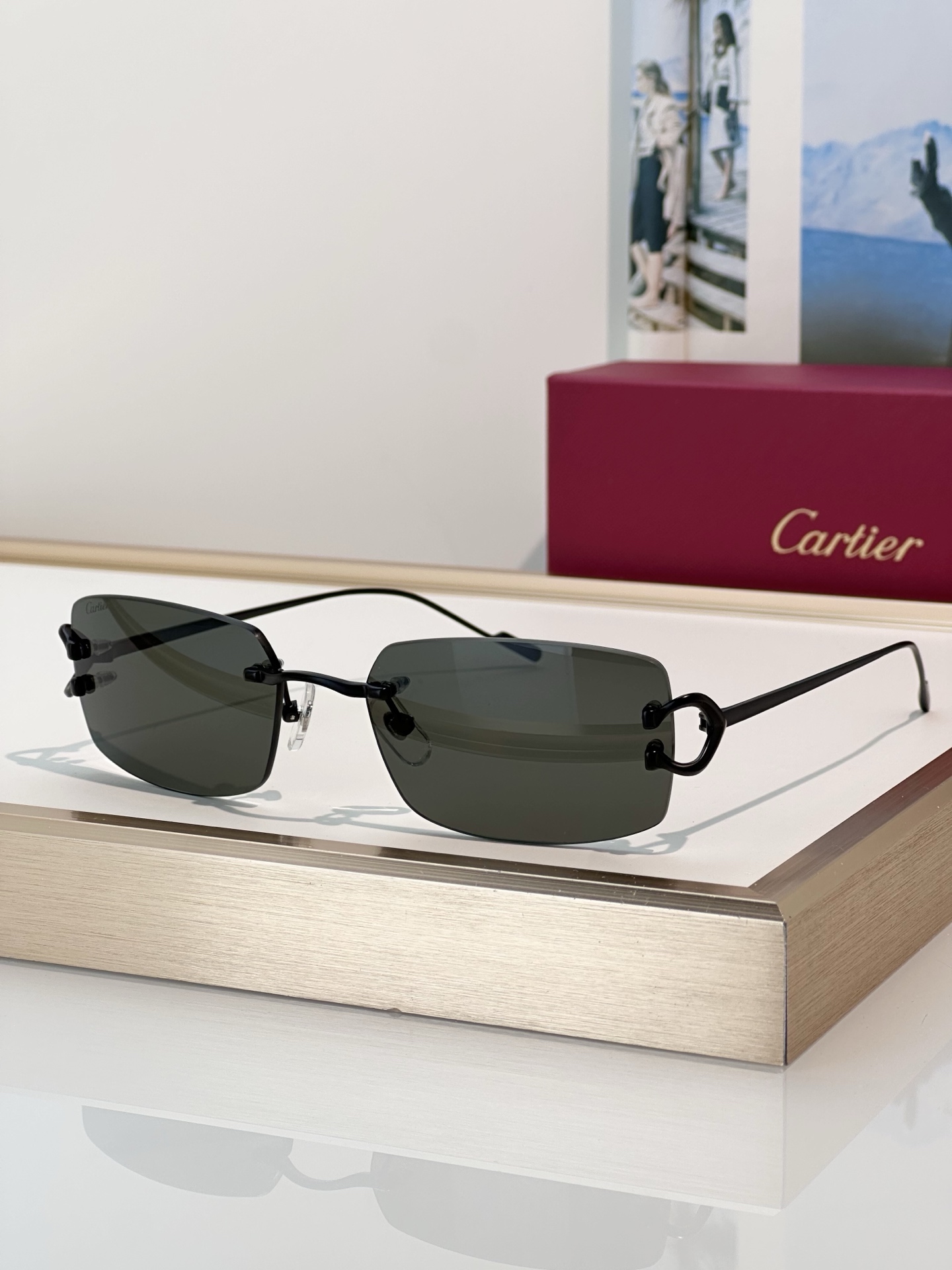 Designer Sunglasses CT0605S