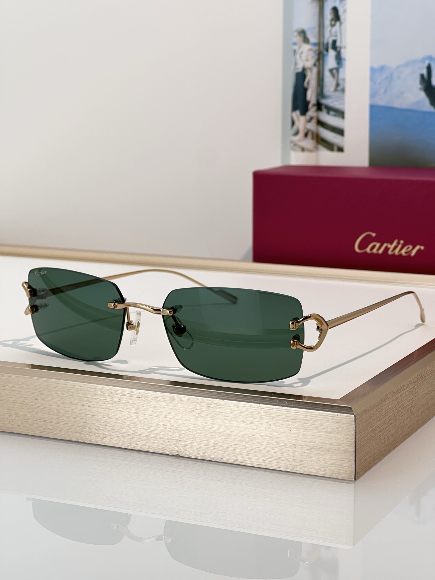 Designer Sunglasses CT0605S