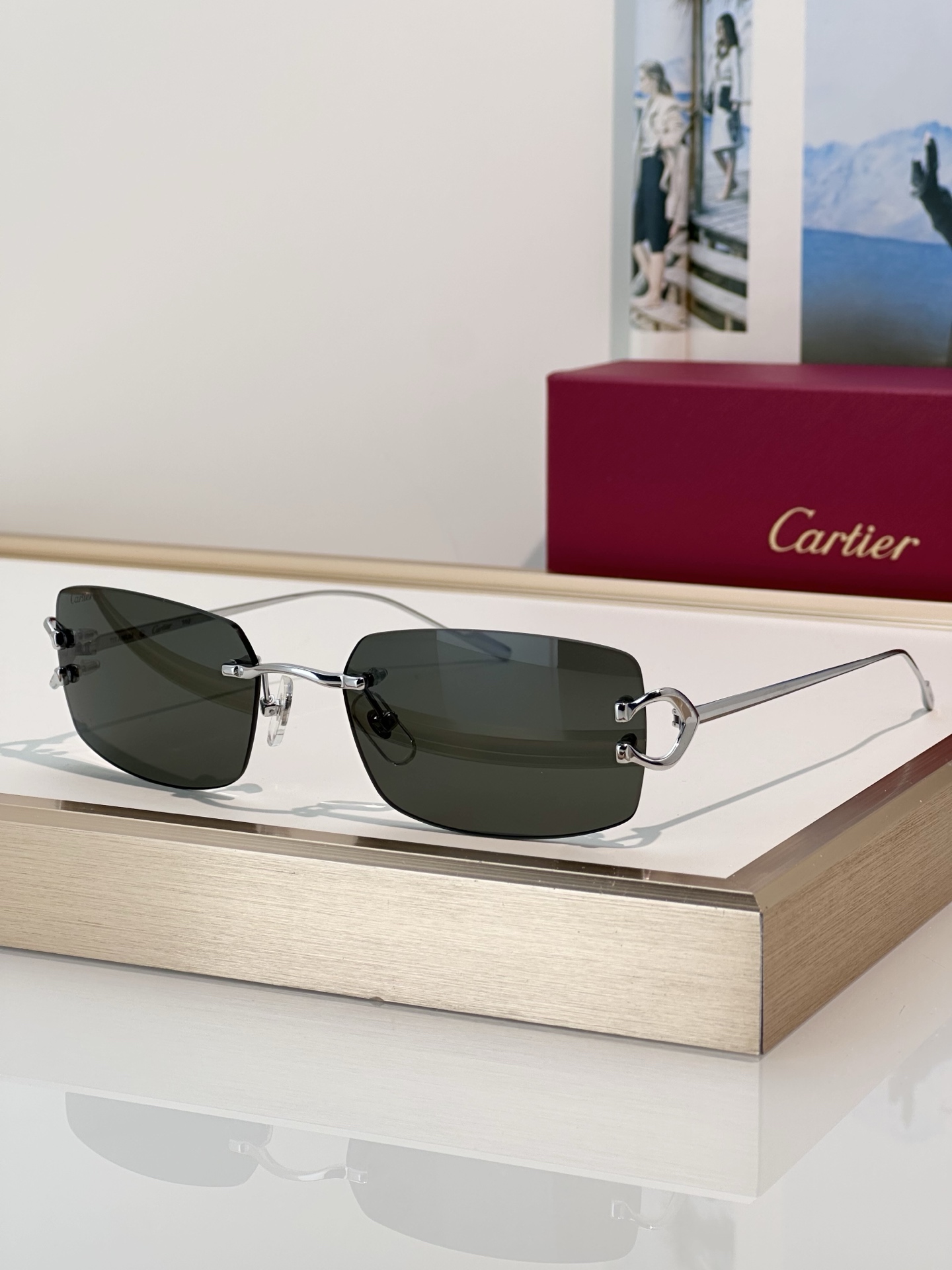 Designer Sunglasses CT0605S