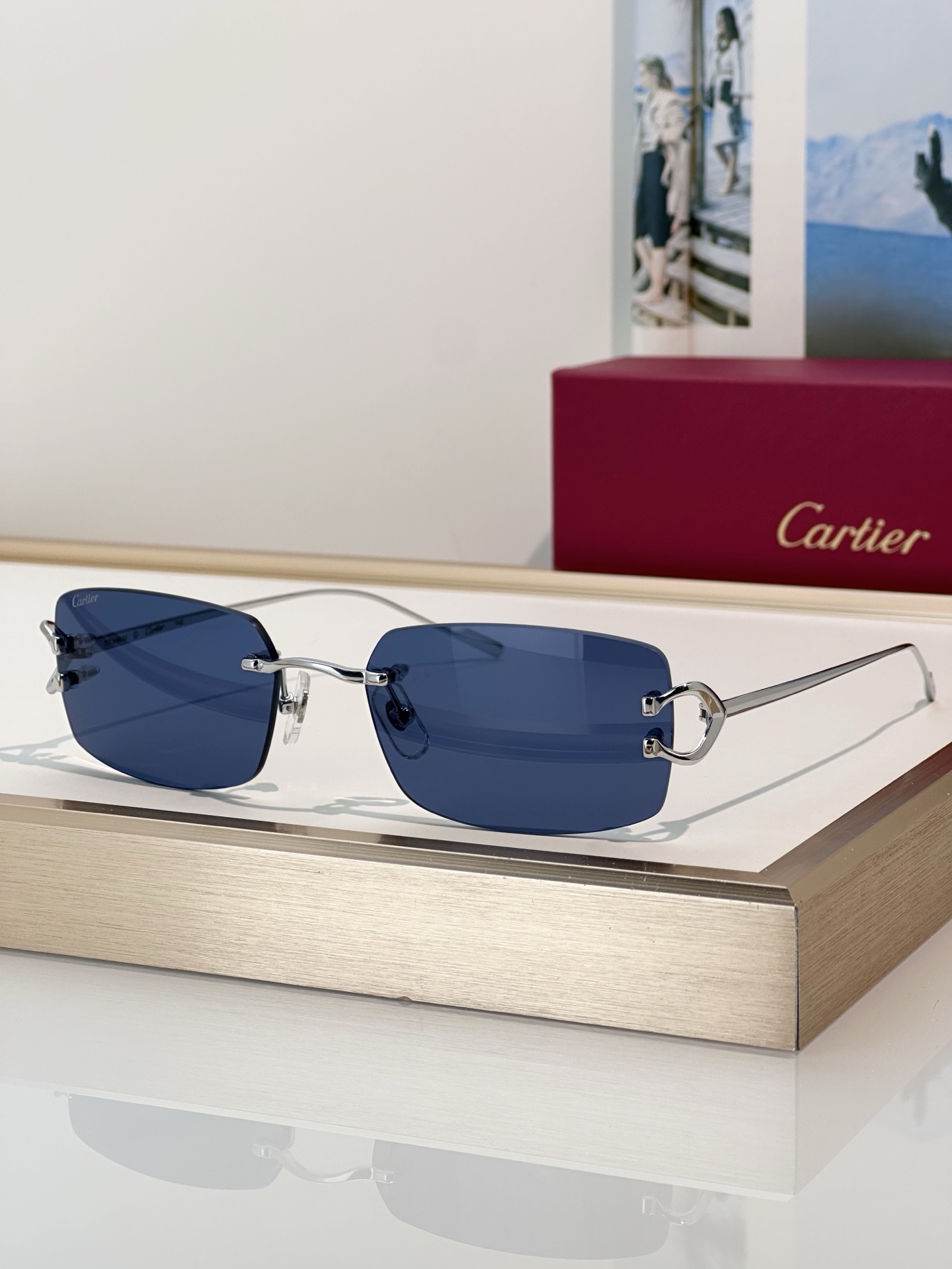 Designer Sunglasses CT0605S