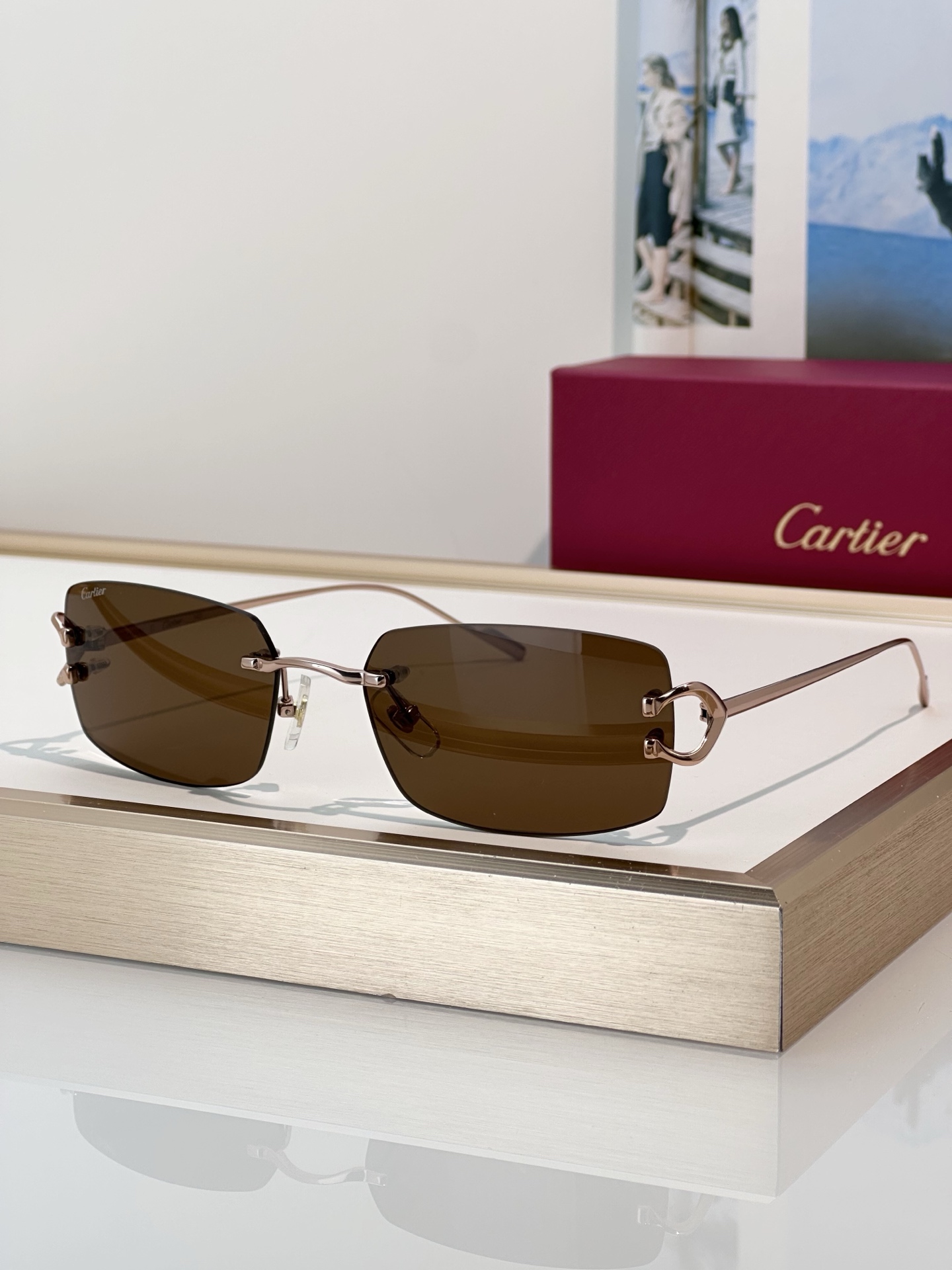Designer Sunglasses CT0605S