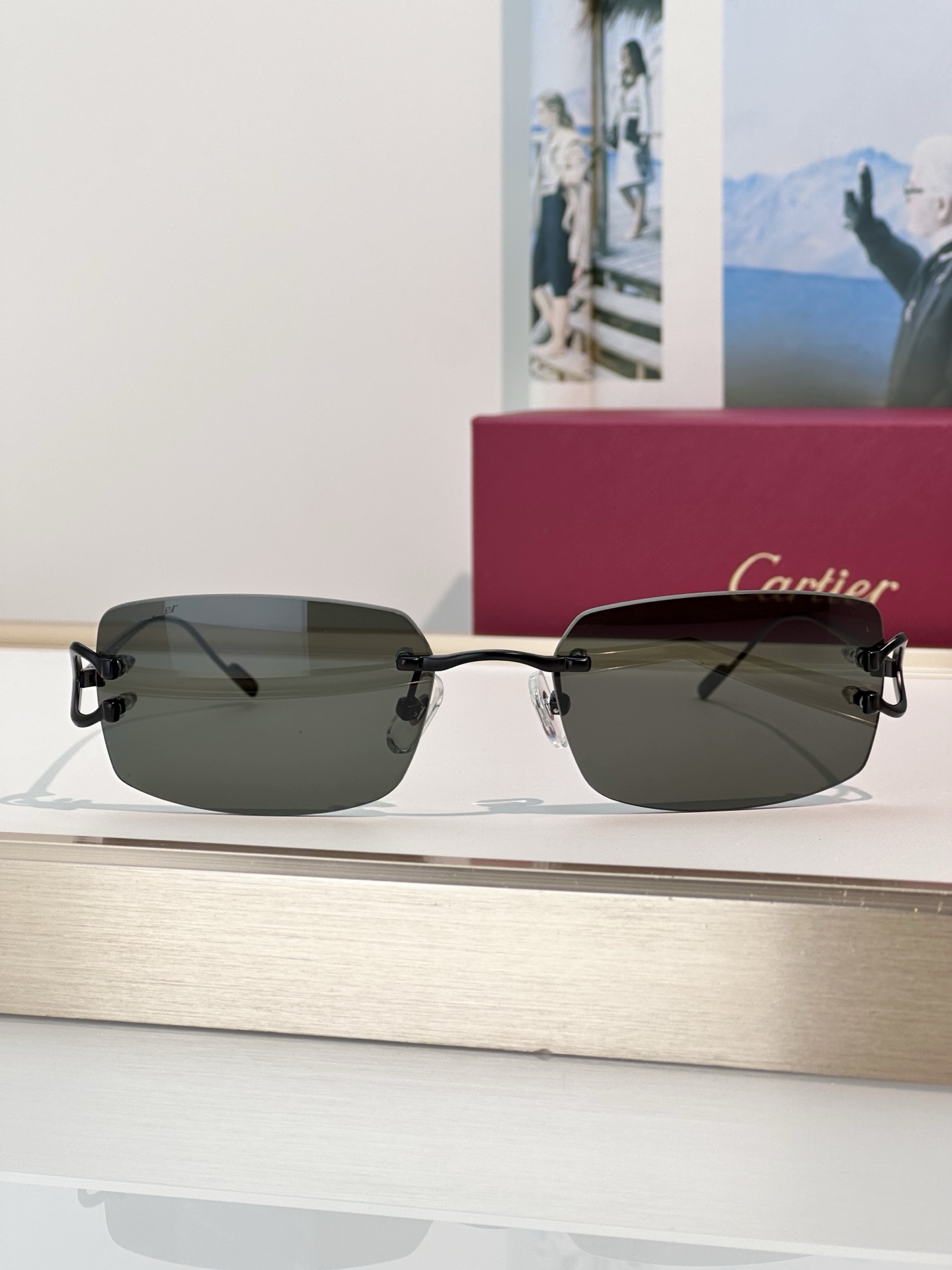 Designer Sunglasses CT0605S