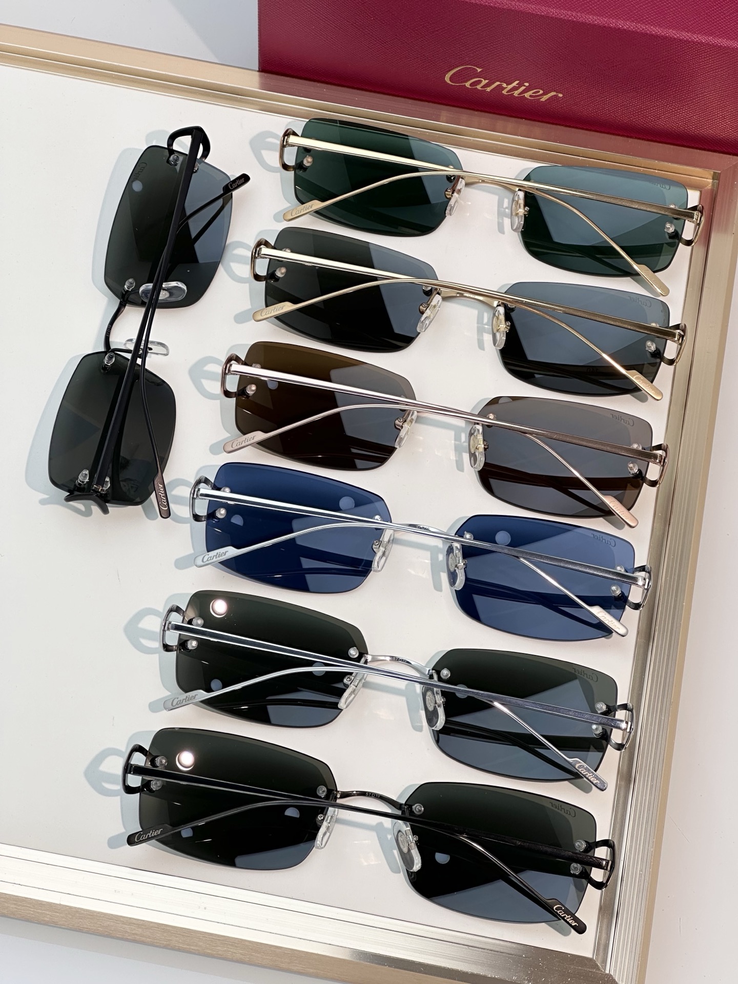Designer Sunglasses CT0605S