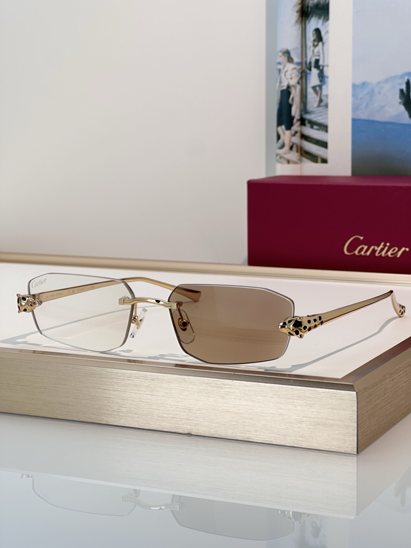 Designer Sunglasses CT0474S