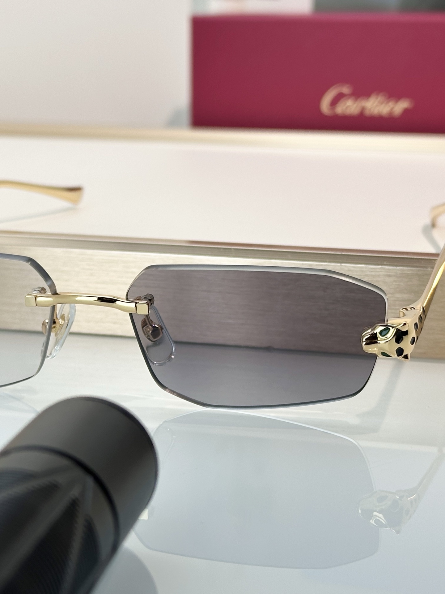 Designer Sunglasses CT0474S