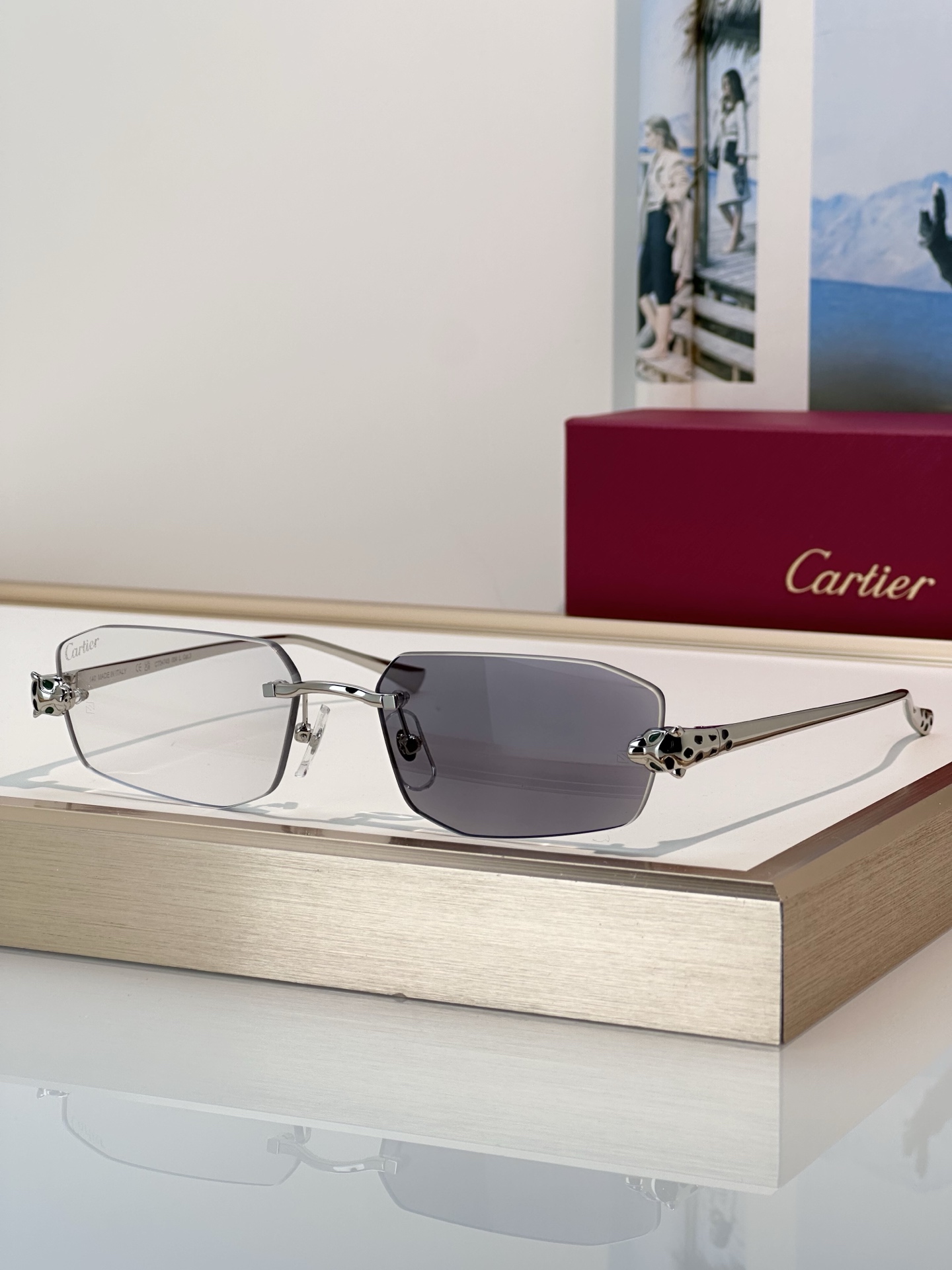 Designer Sunglasses CT0474S