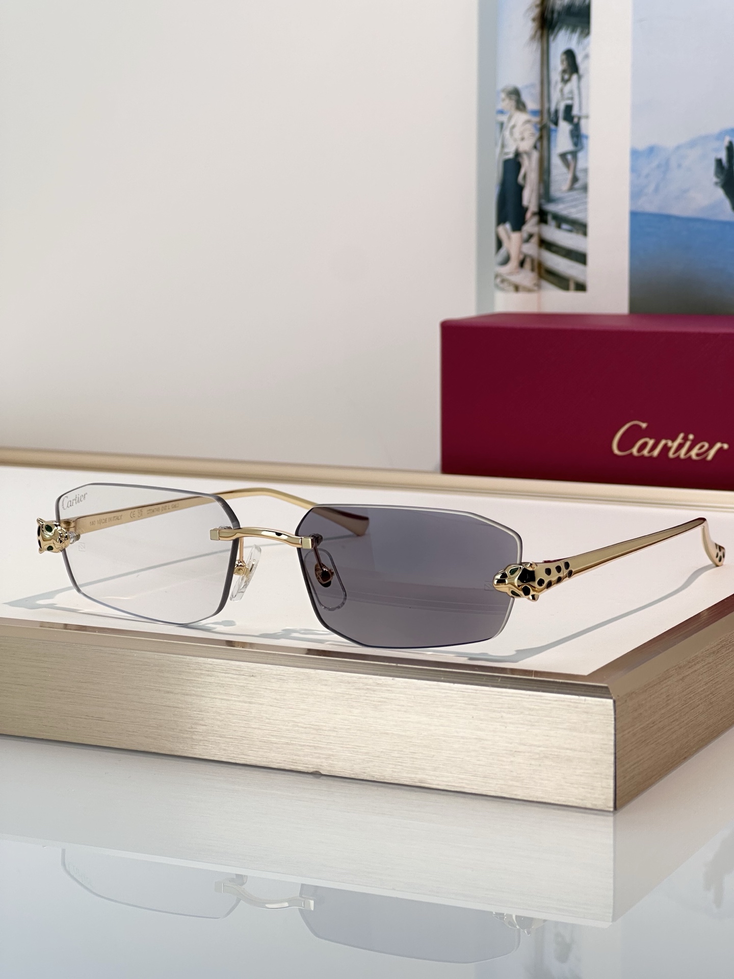 Designer Sunglasses CT0474S