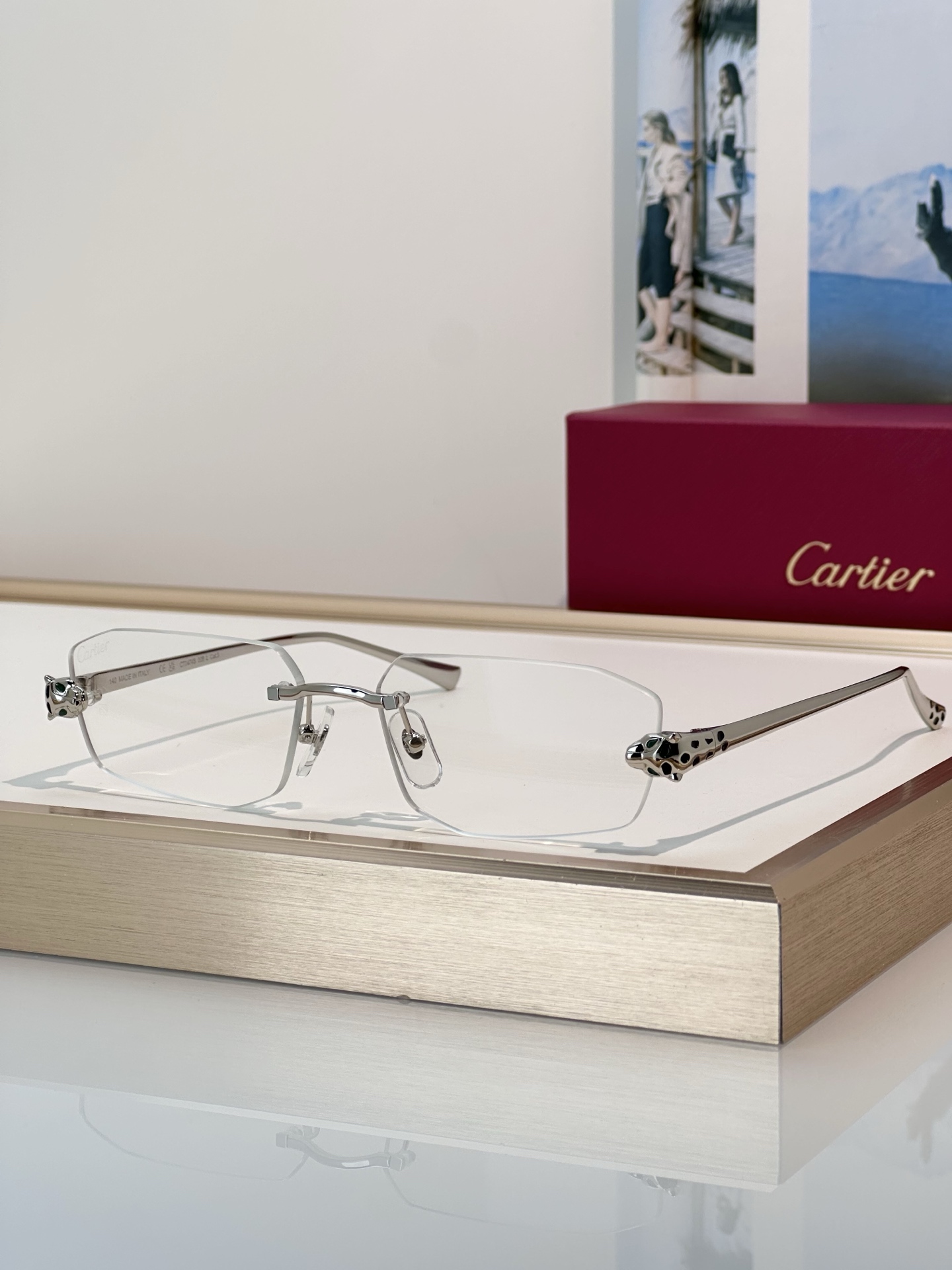 Designer Sunglasses CT0474S