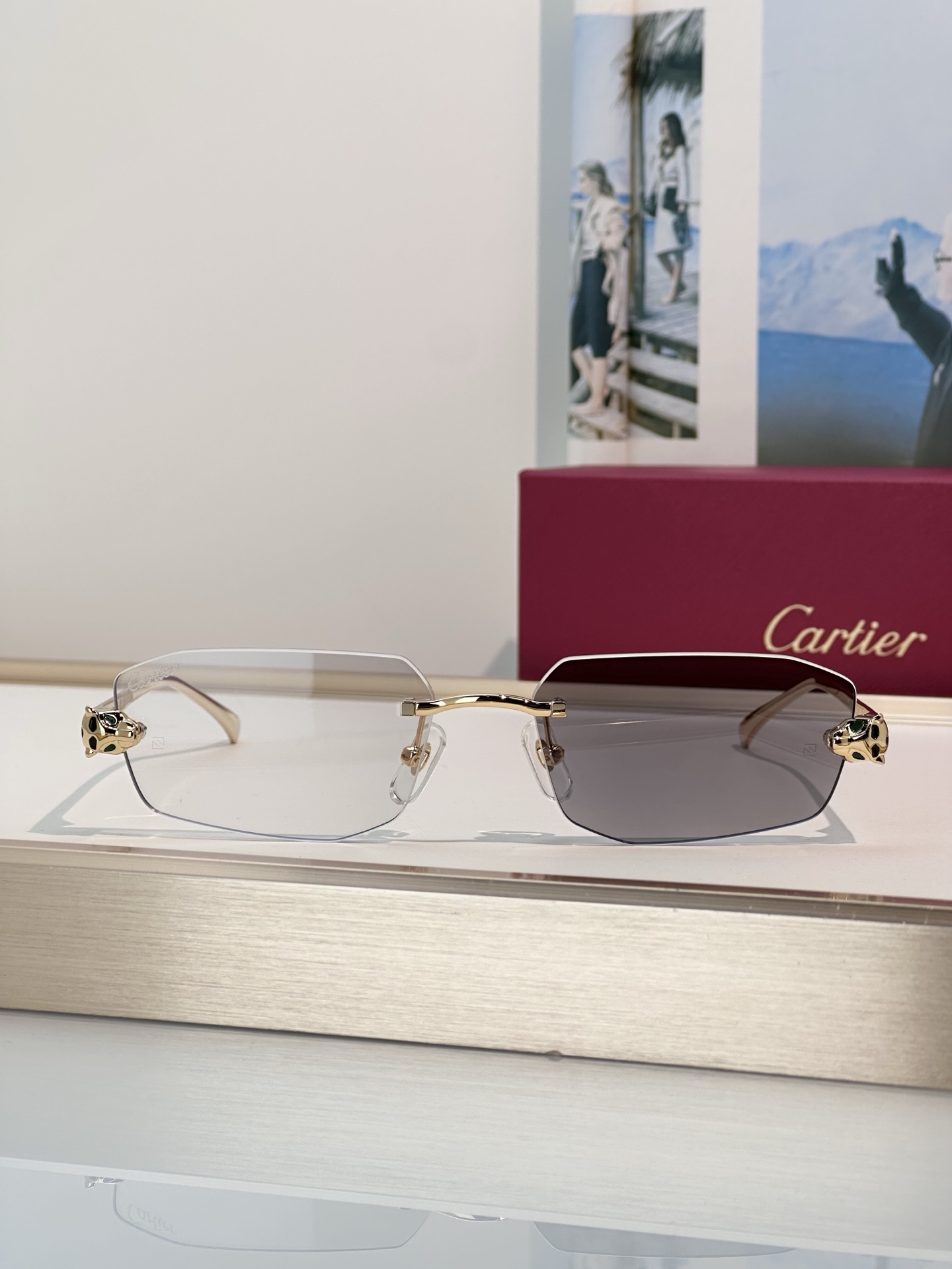 Designer Sunglasses CT0474S