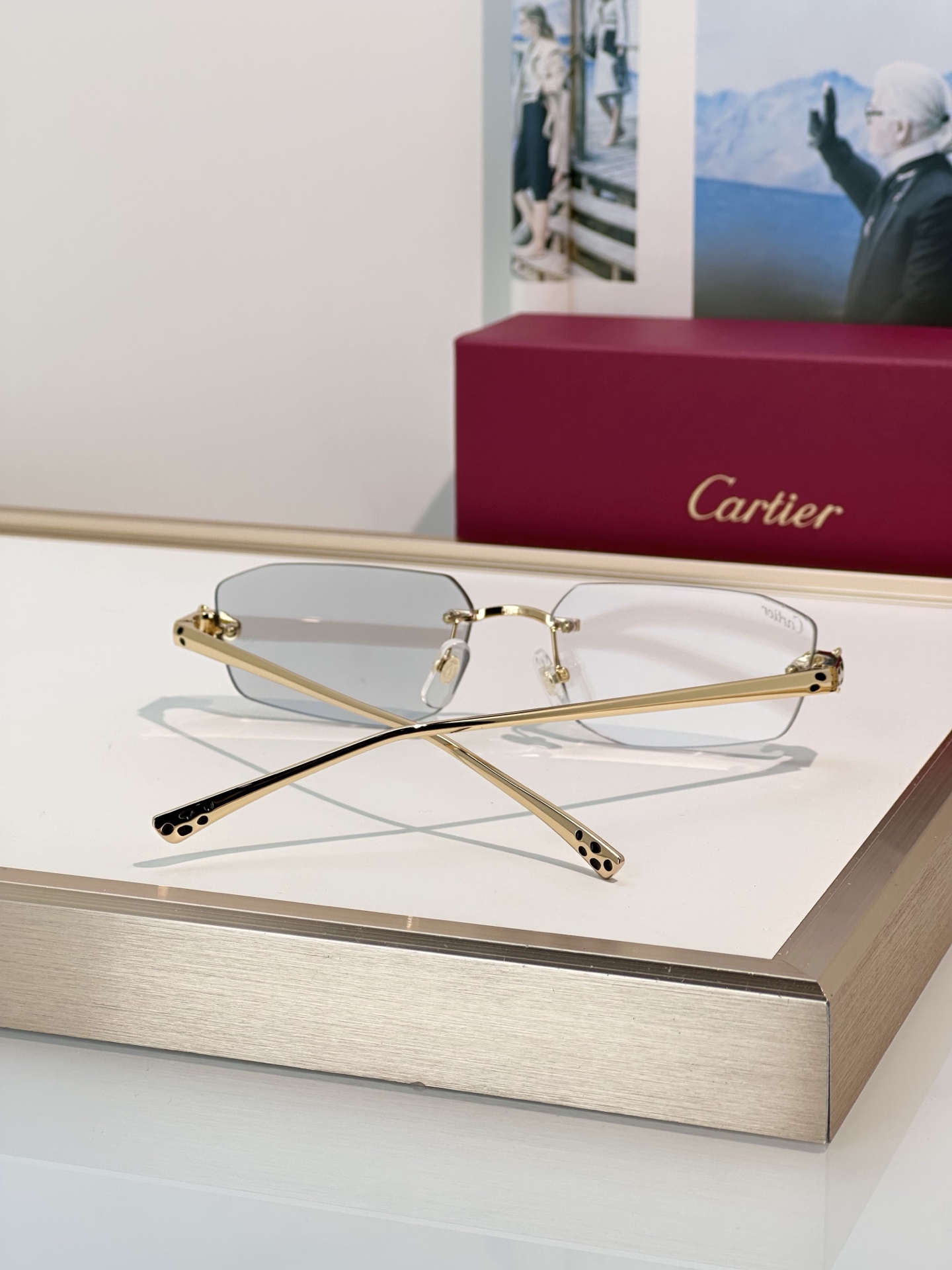 Designer Sunglasses CT0474S
