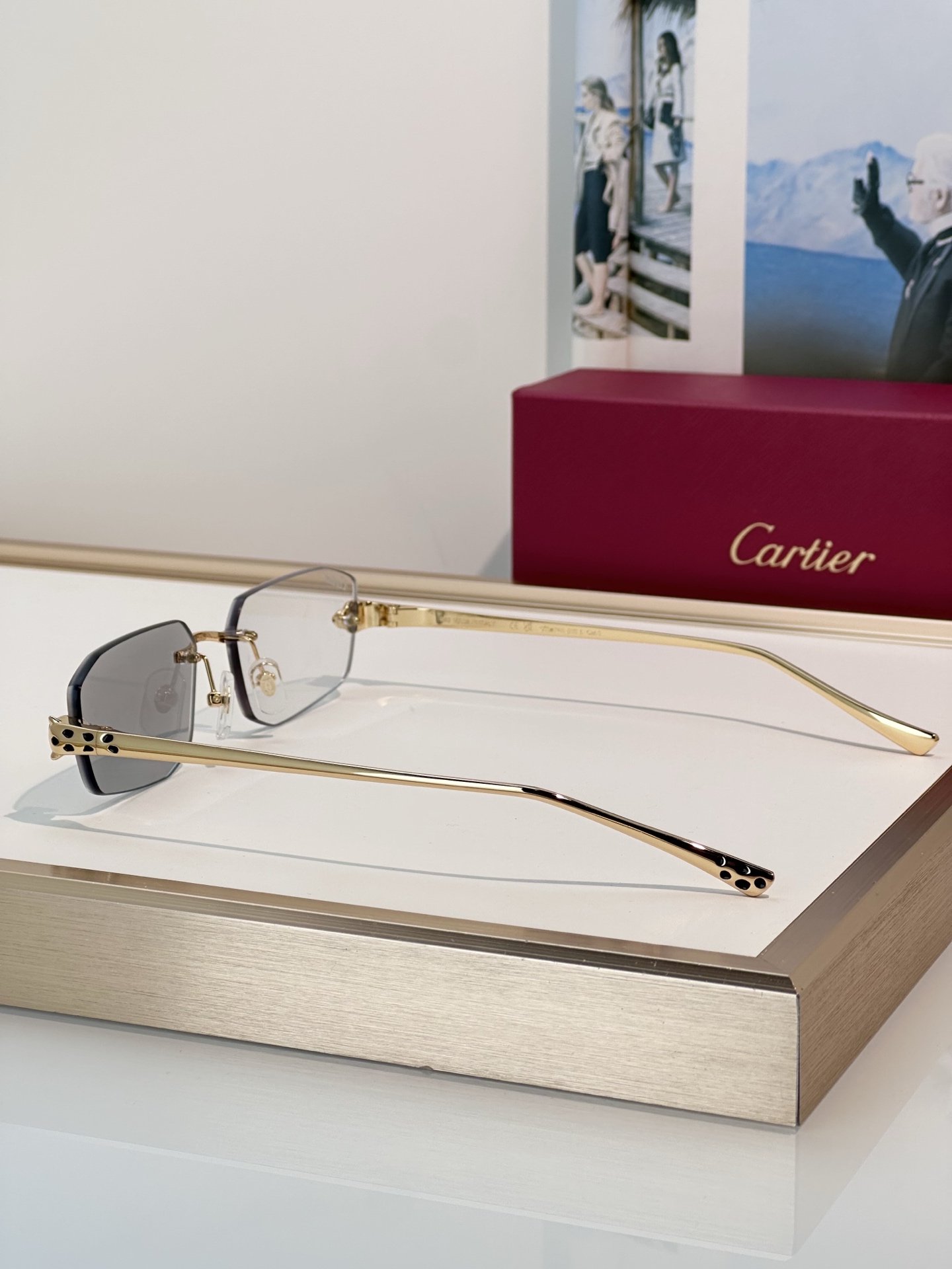 Designer Sunglasses CT0474S