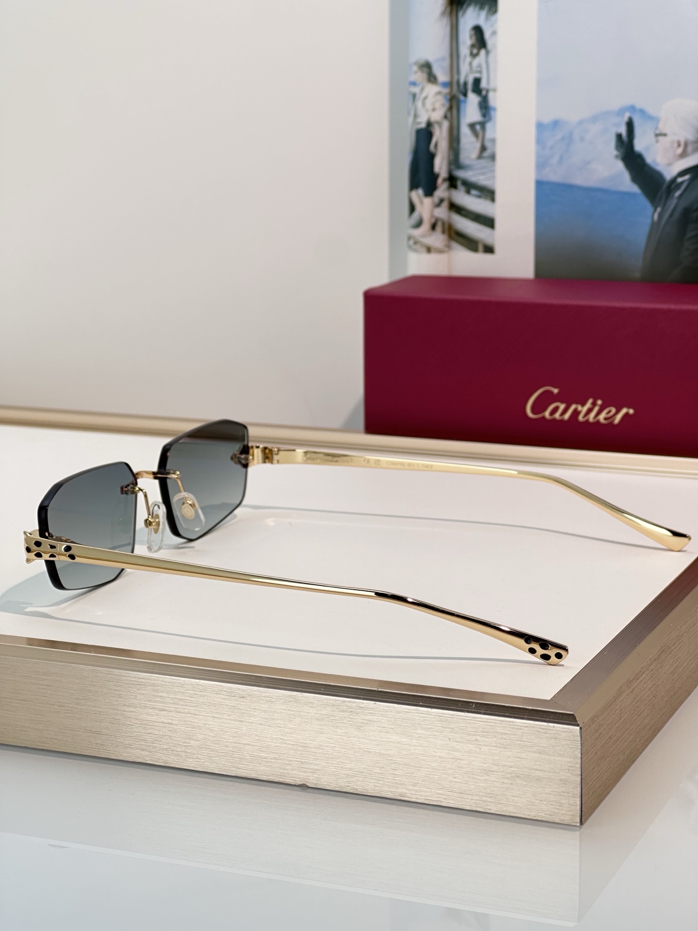 Designer Sunglasses CT0474S