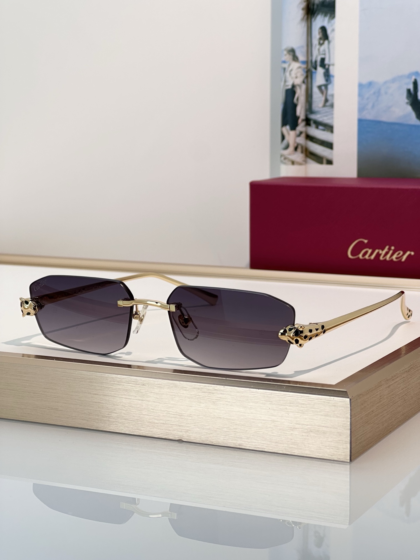 Designer Sunglasses CT0474S