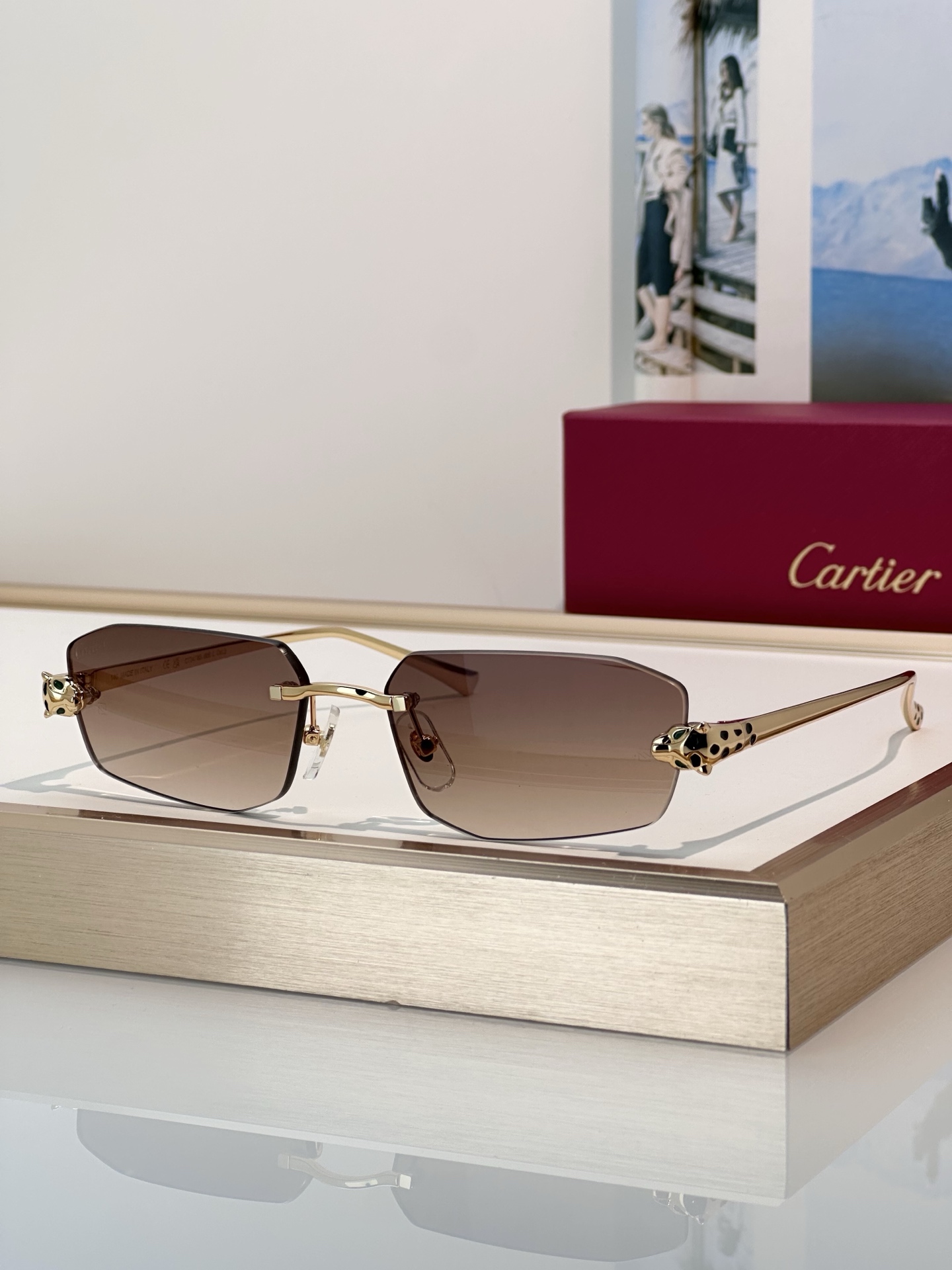 Designer Sunglasses CT0474S