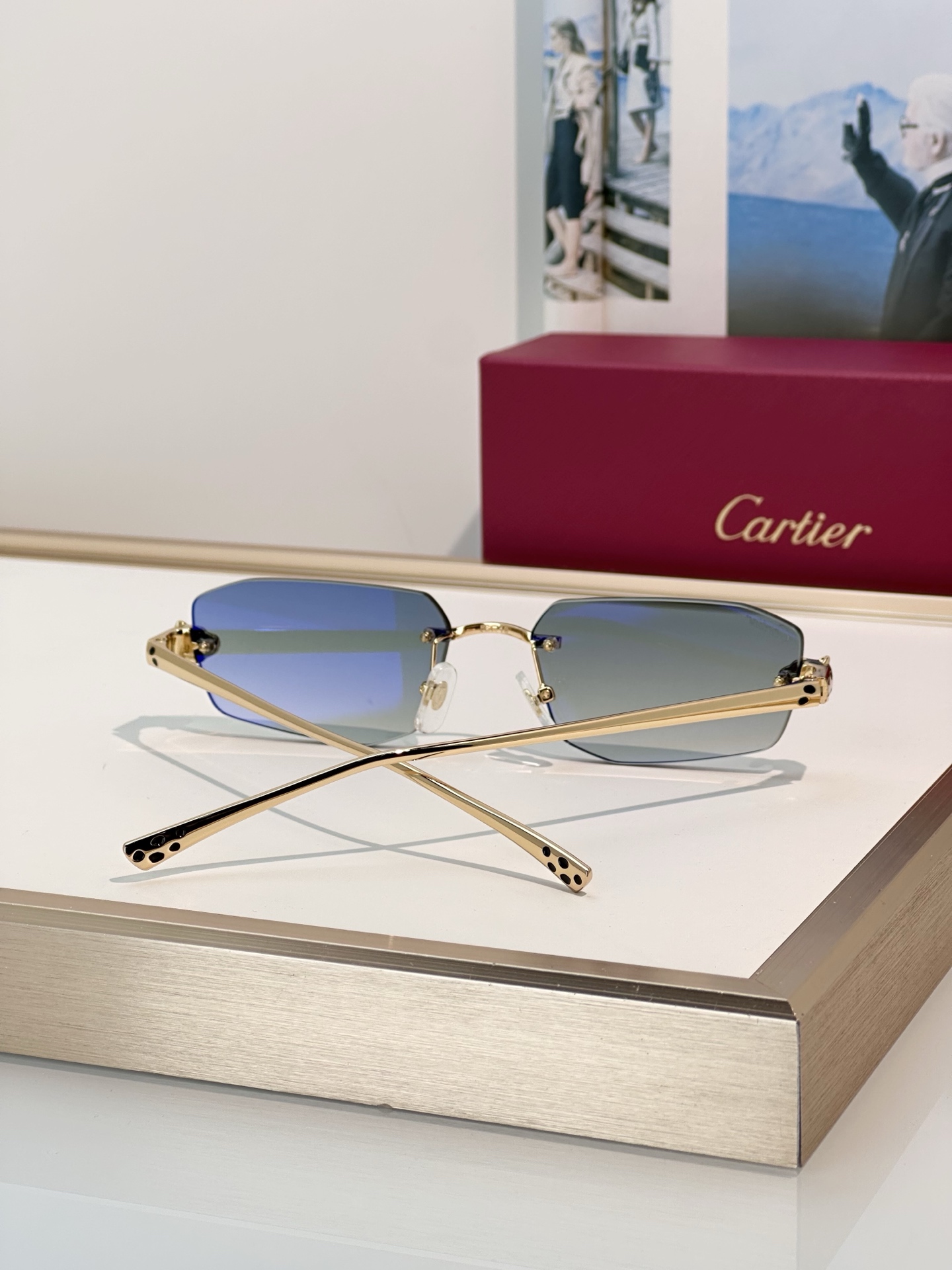 Designer Sunglasses CT0474S
