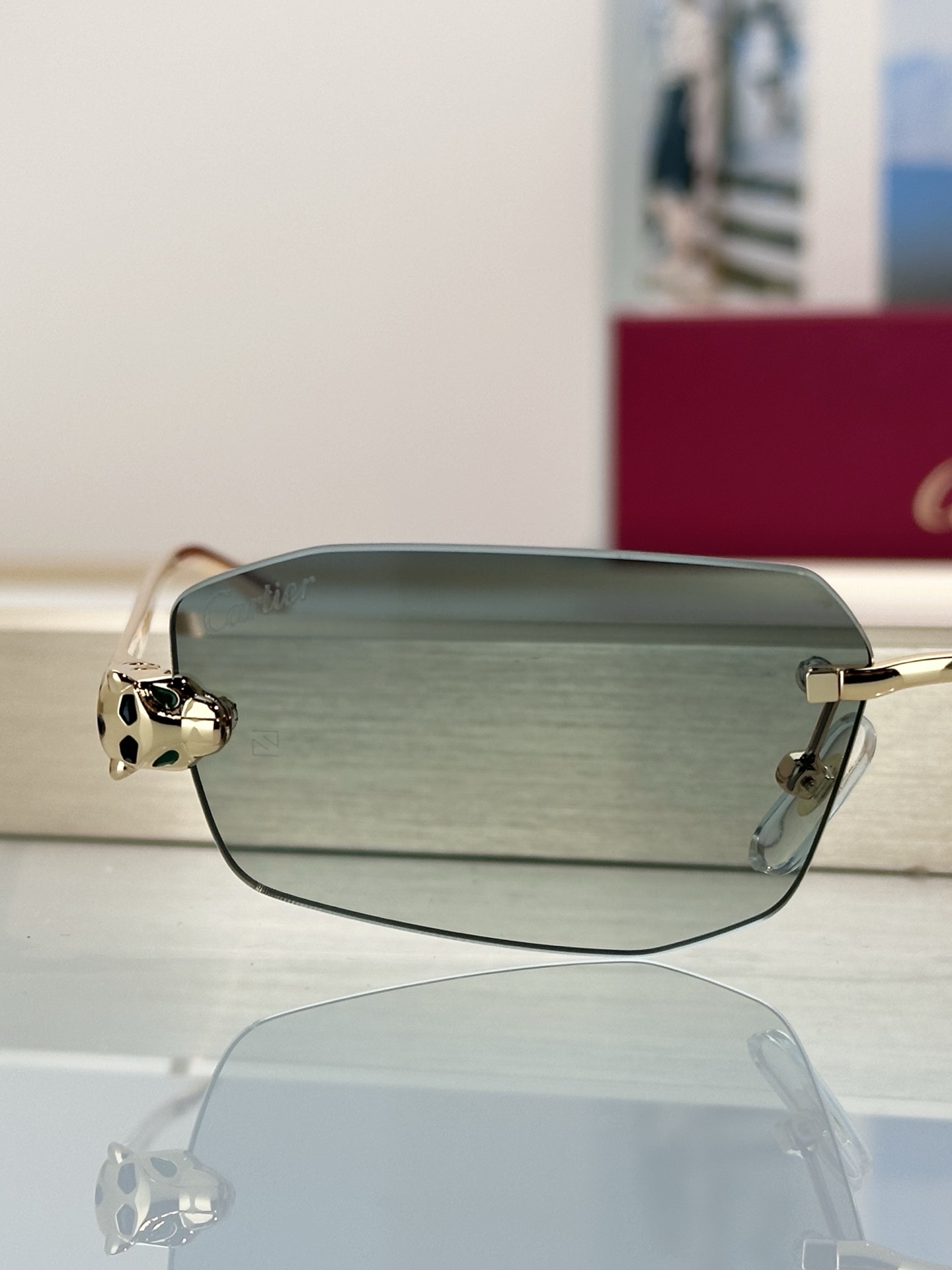 Designer Sunglasses CT0474S