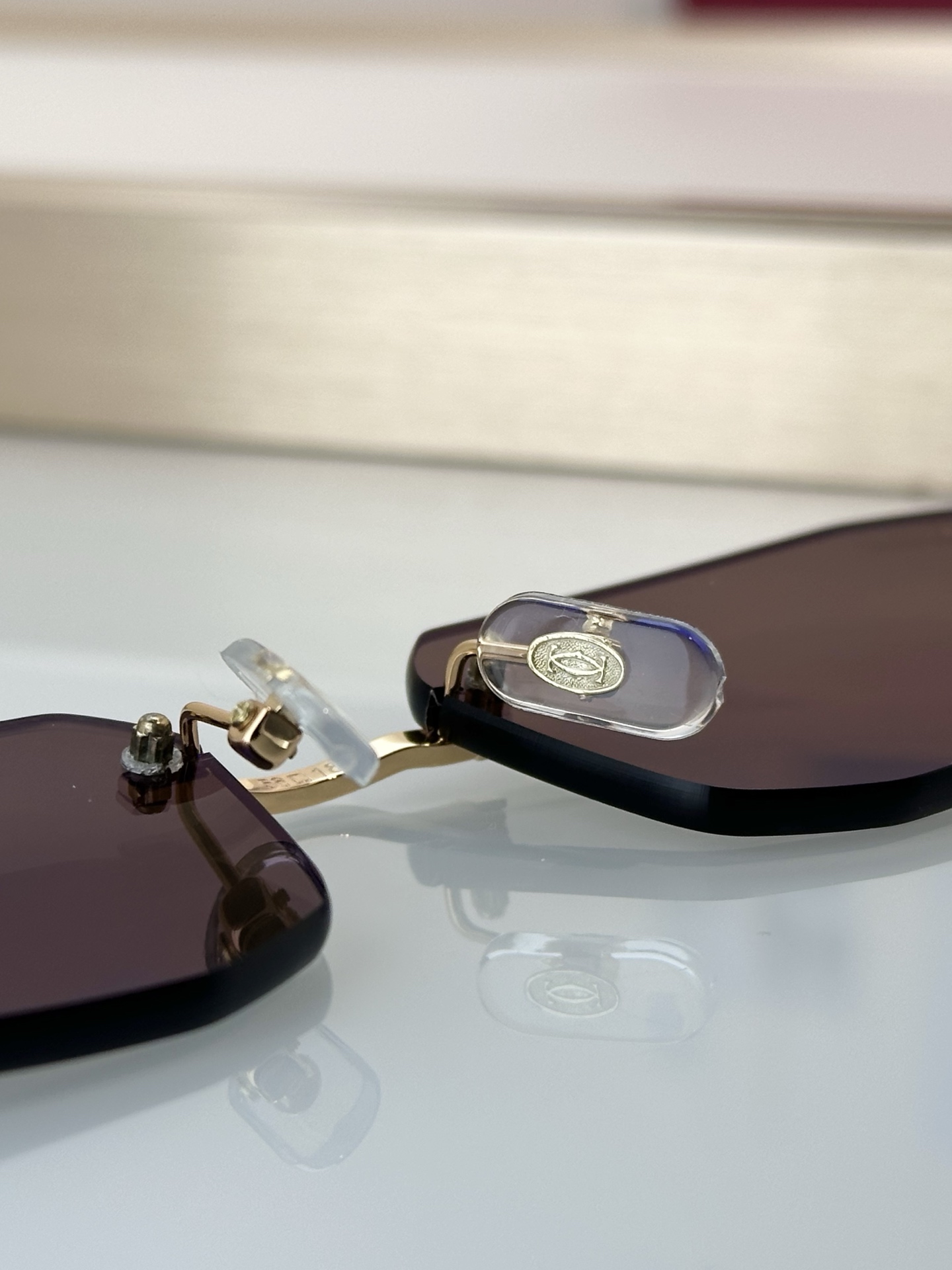 Designer Sunglasses CT0474S