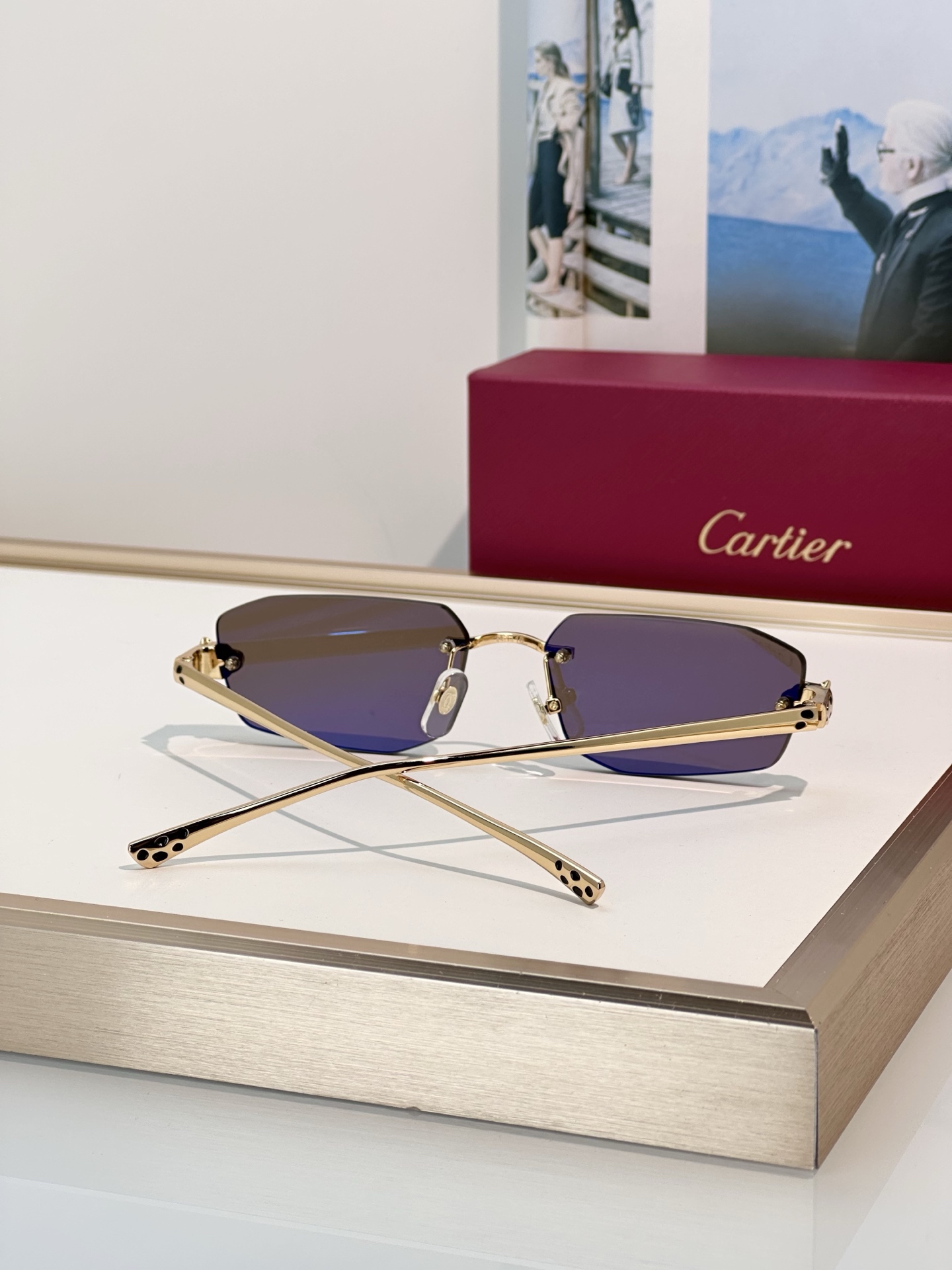 Designer Sunglasses CT0474S