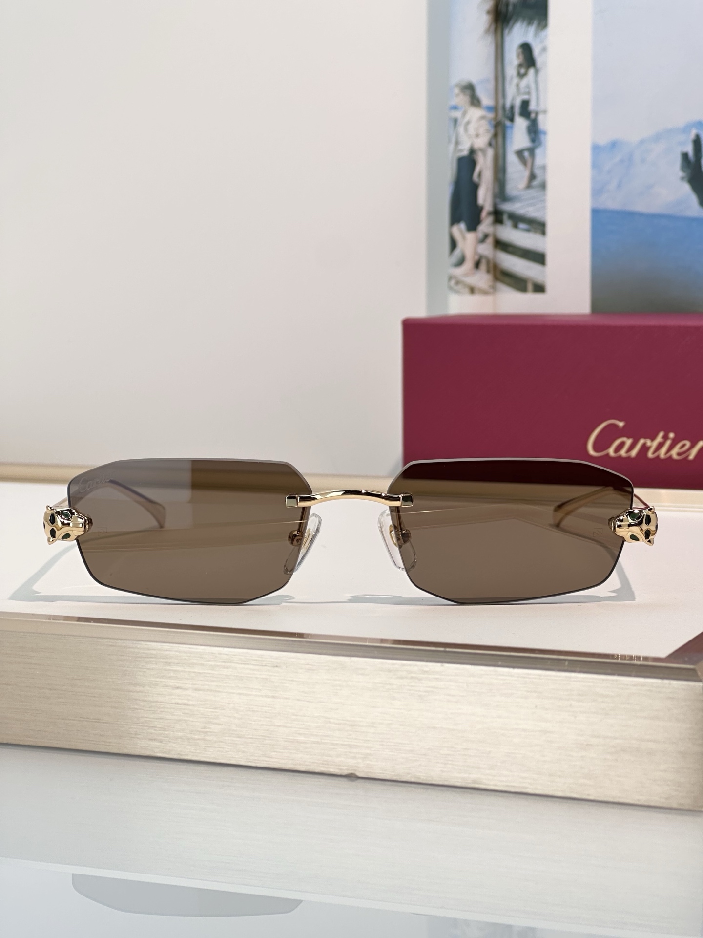Designer Sunglasses CT0474S