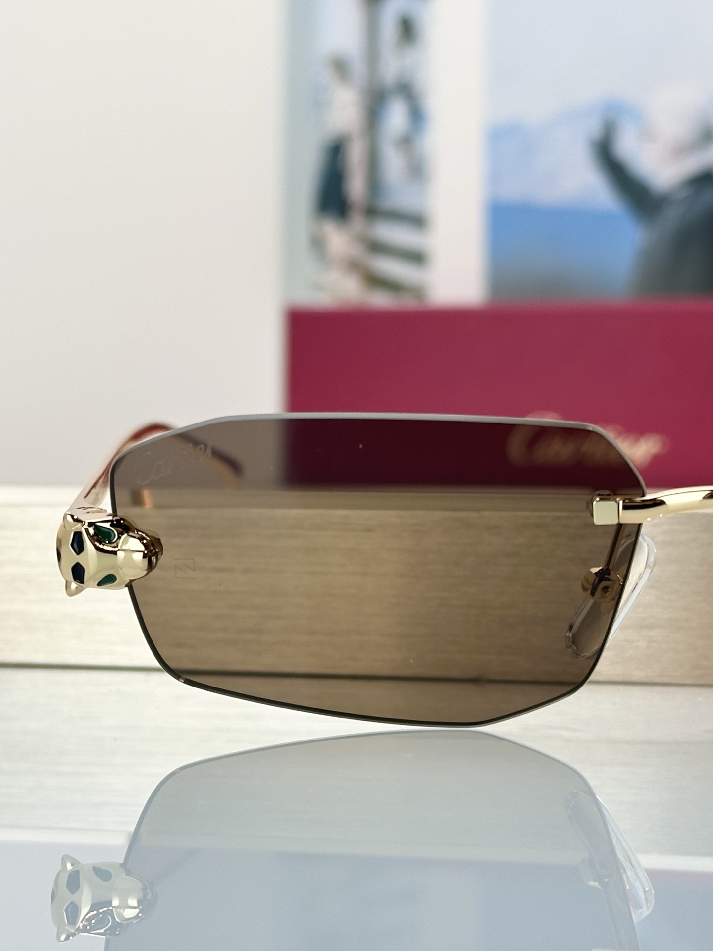 Designer Sunglasses CT0474S