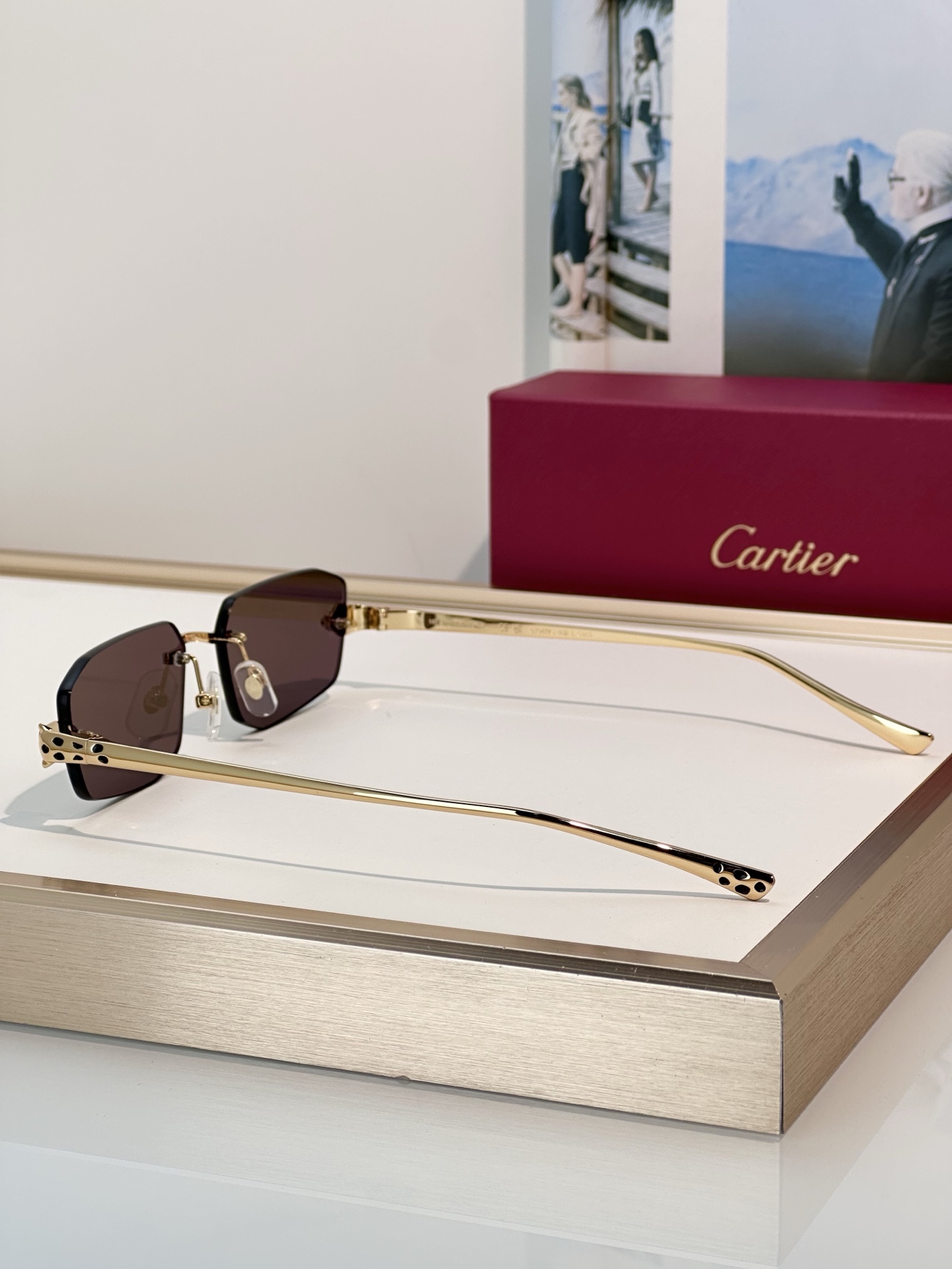 Designer Sunglasses CT0474S