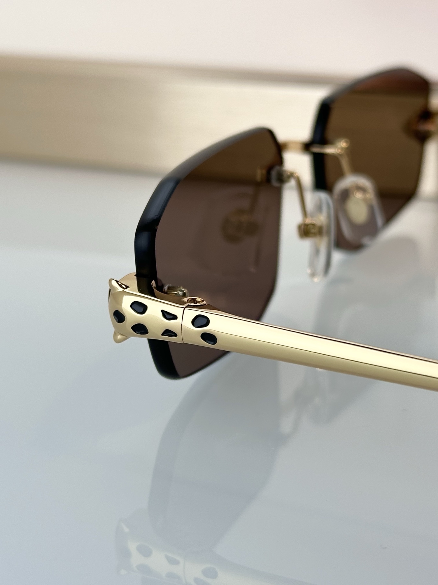 Designer Sunglasses CT0474S
